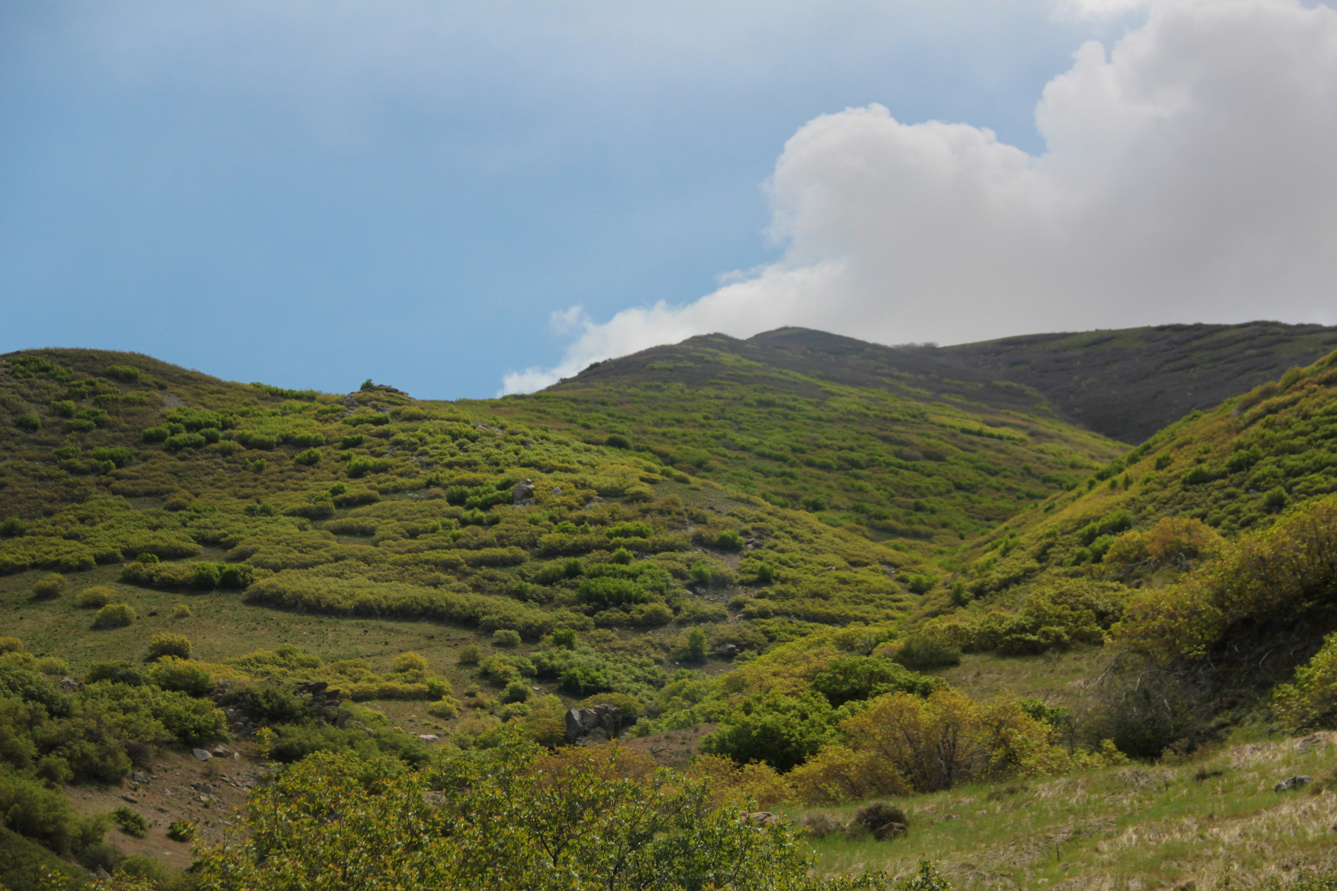 Lush green hills under a cloudy blue sky