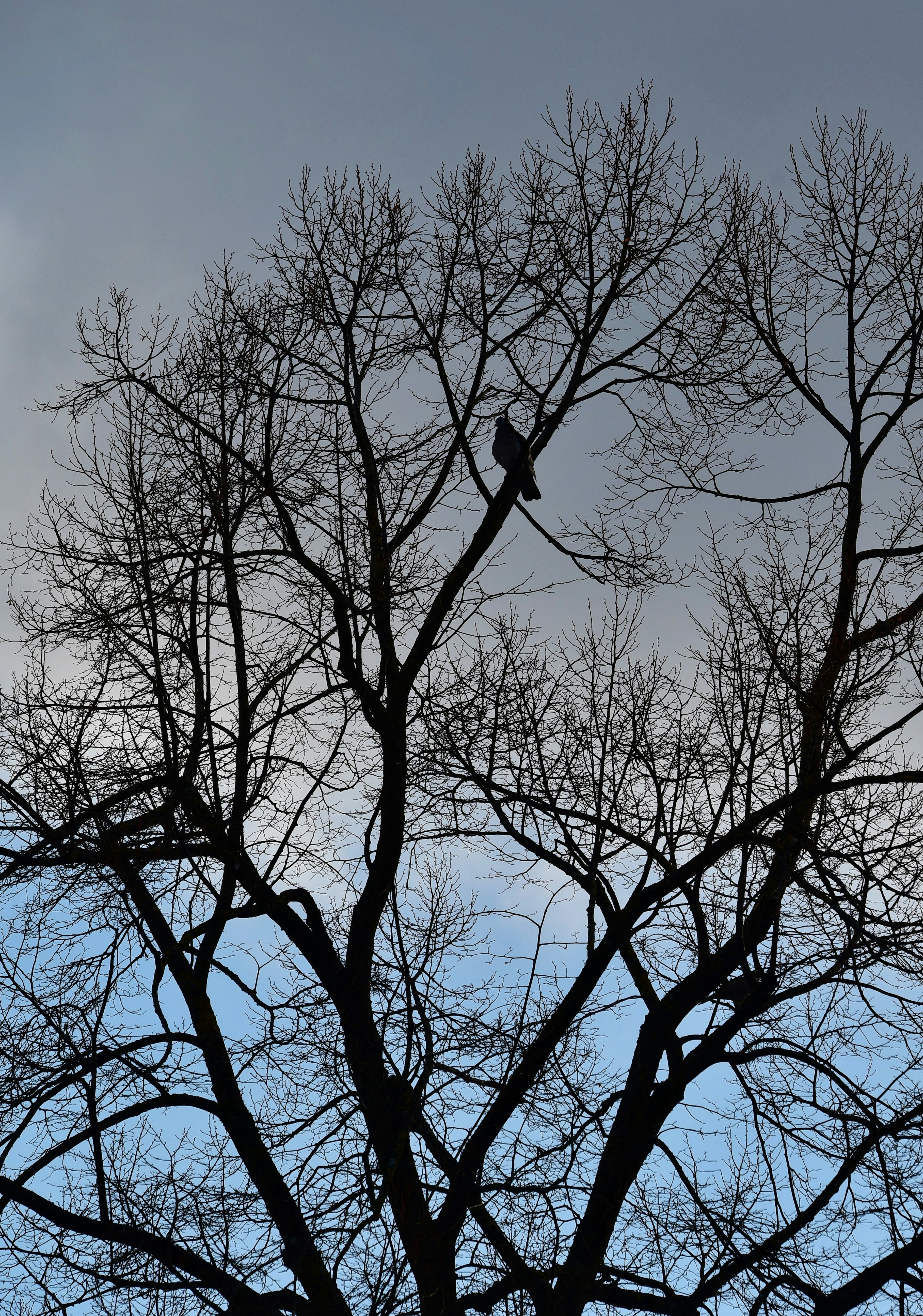 Photo by pedrino5_official