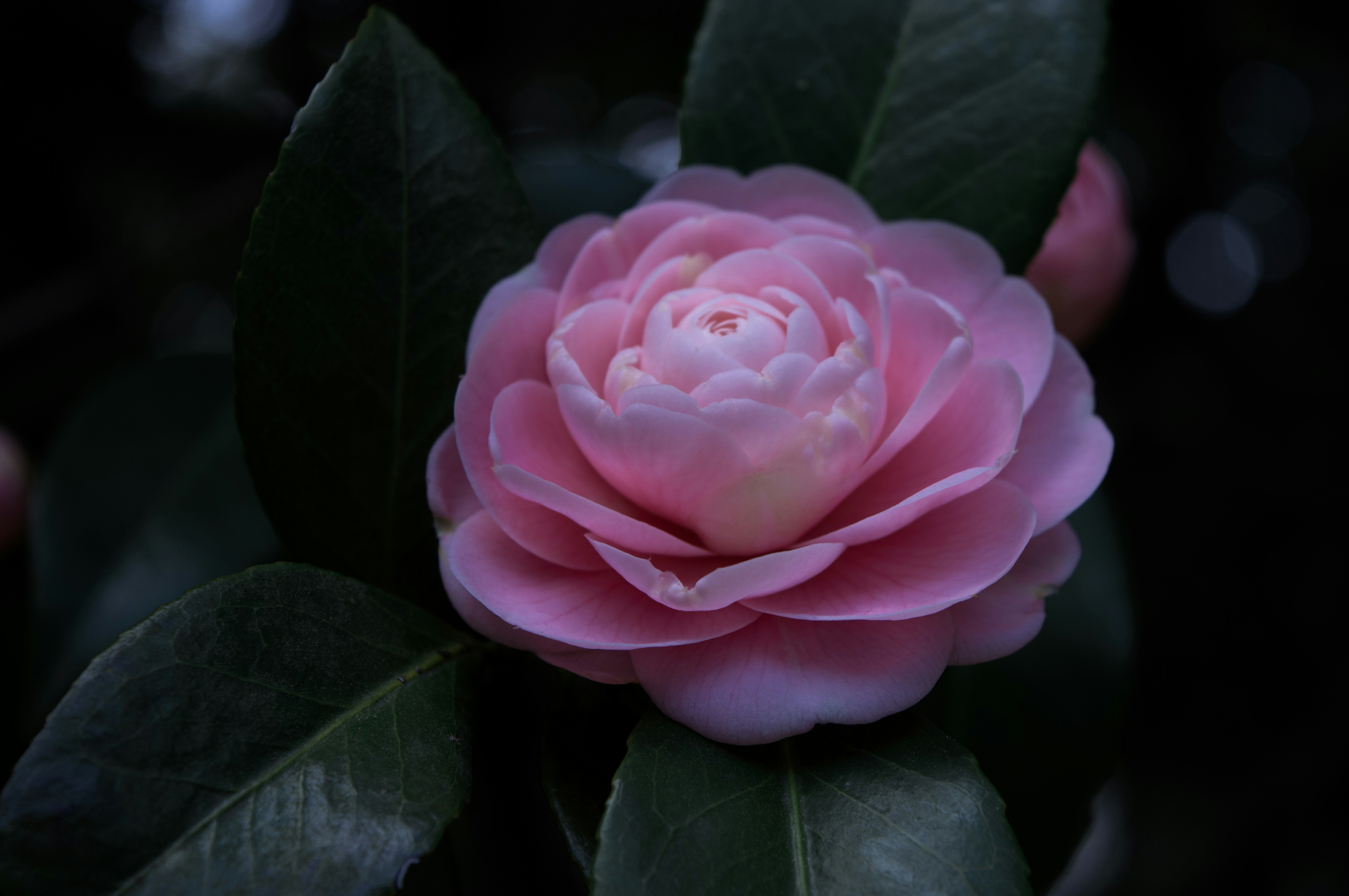 Photo by xiakuangkuang