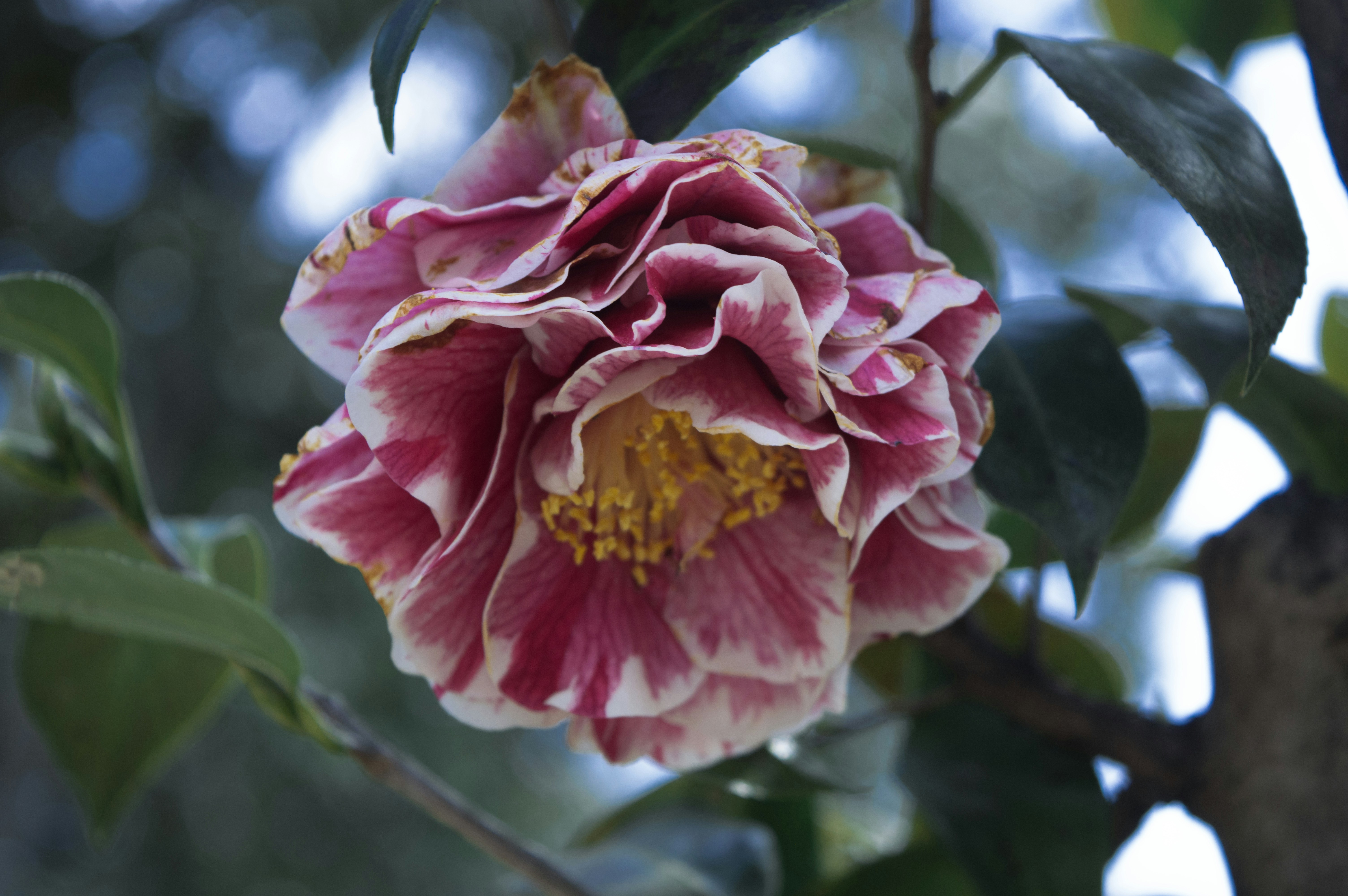 Photo by xiakuangkuang