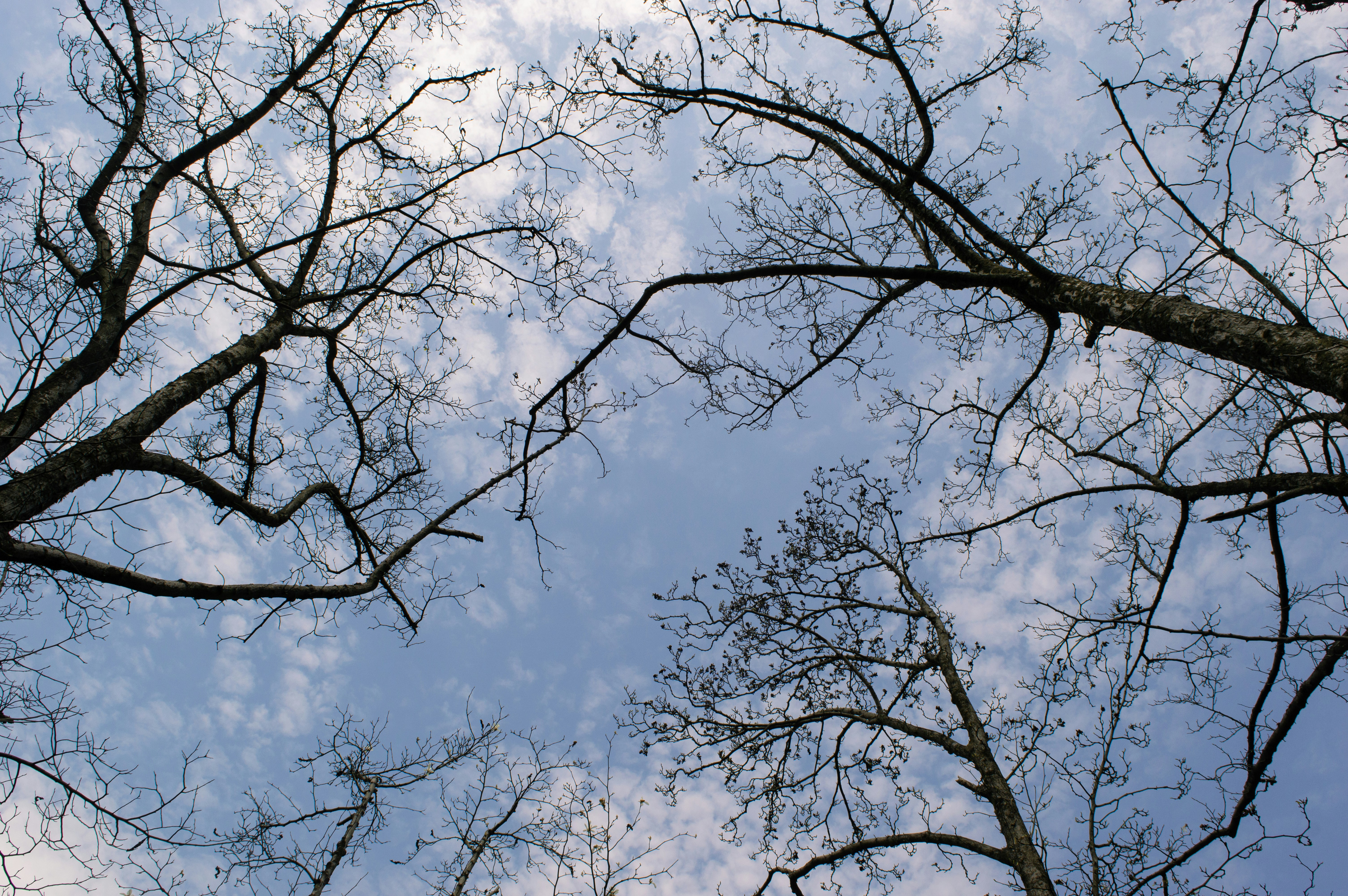 Photo by xiakuangkuang