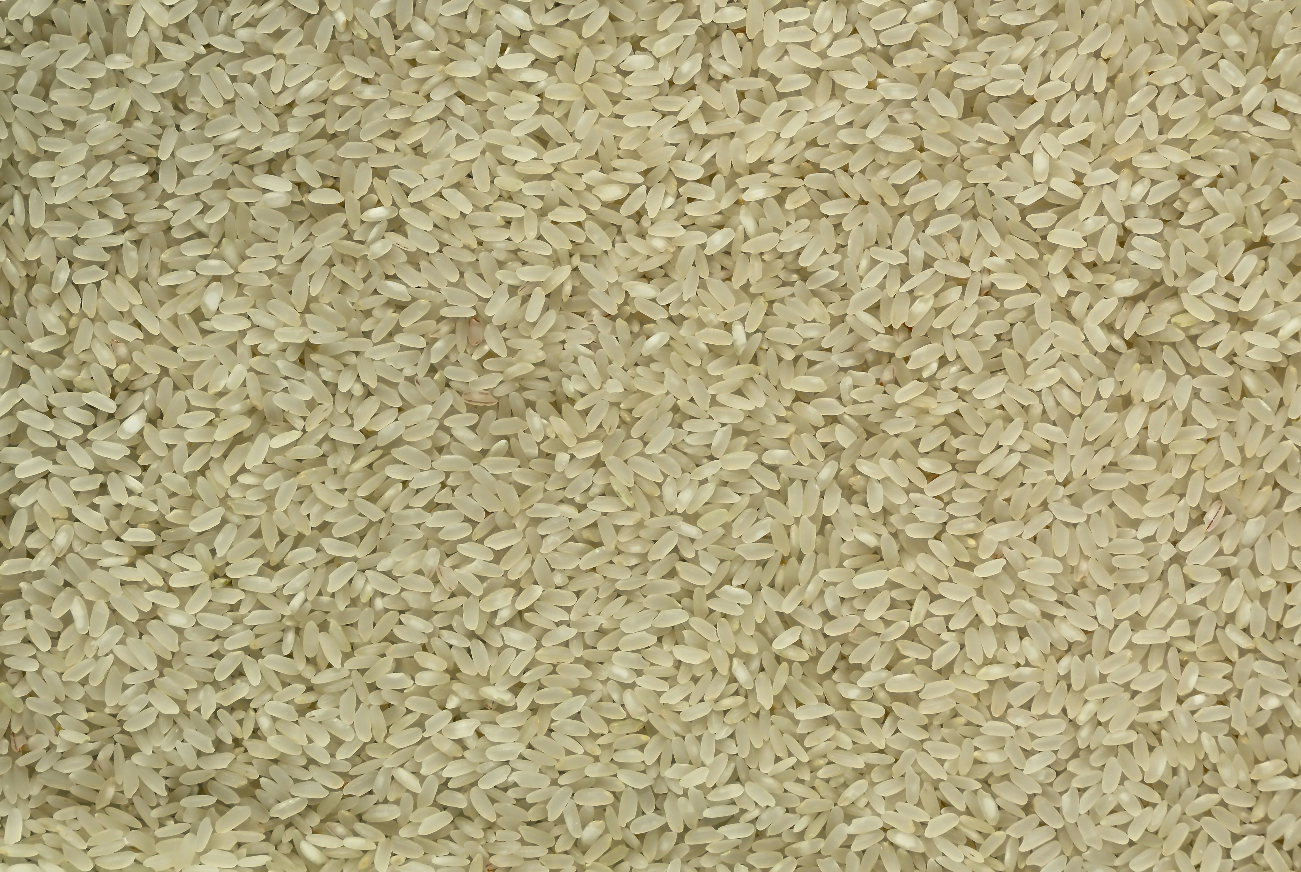 rice grain wallpaper, wallpaper, Cara Membuat Masker Beras, Bisa Mencerahkan Kulit! 3