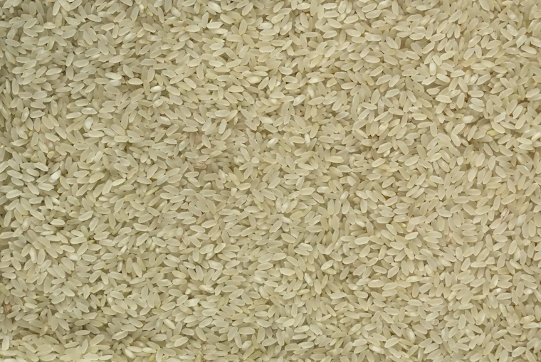 Illustration of rice & grains category