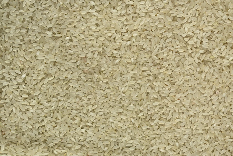 Carnaroli rice