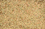 A pile of small, green lentils.