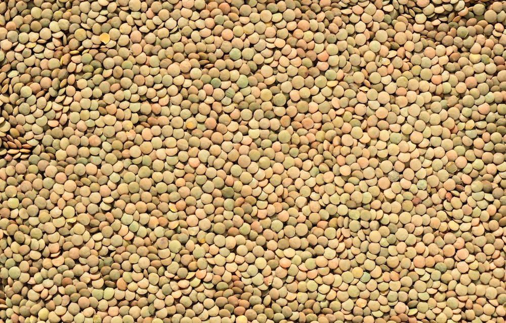 Green Moong (Whole)