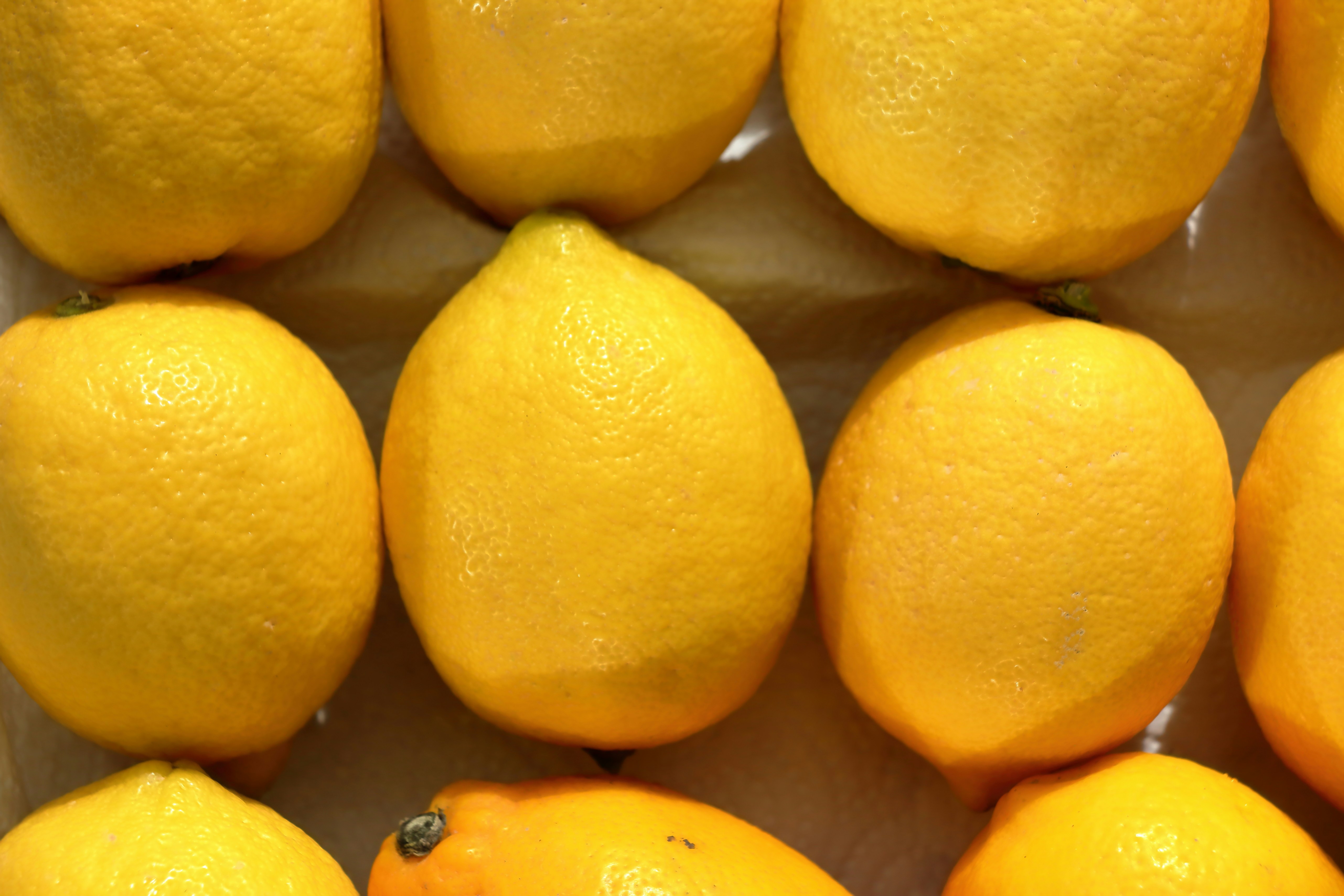 A close-up view of bright yellow lemons.