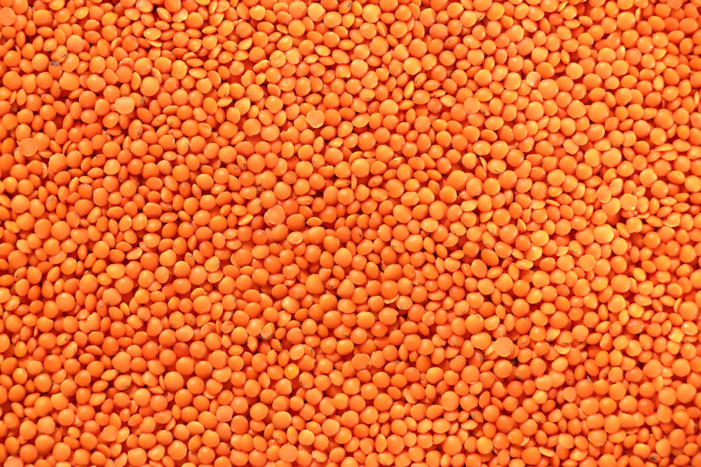 Masoor Dal