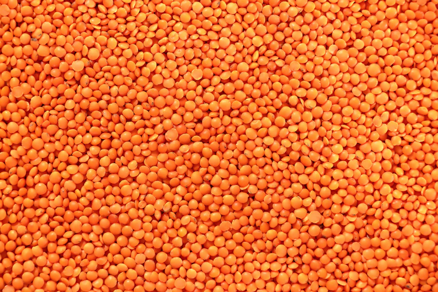 Mercimek