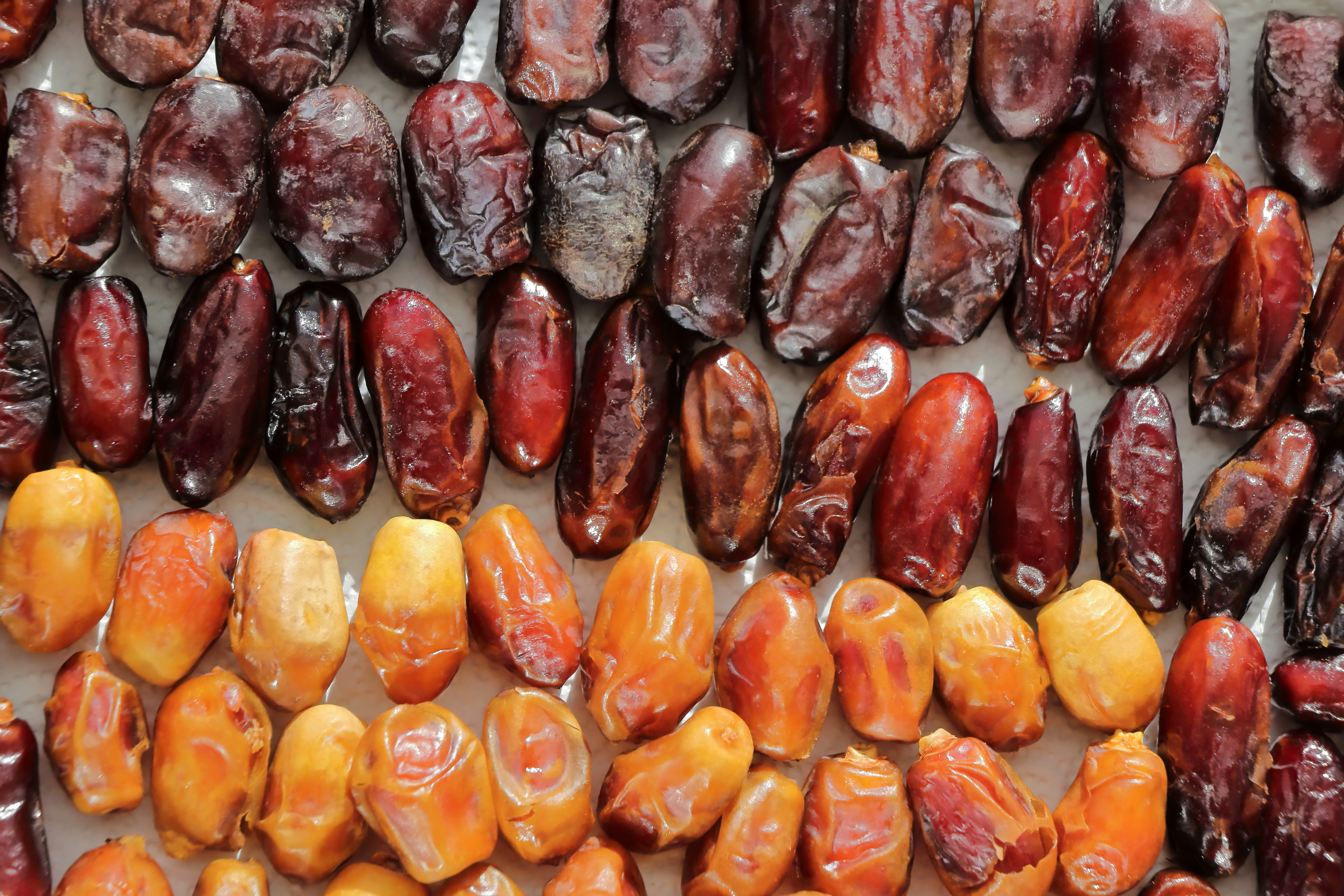 Rows of dried dates in various shades of brown.