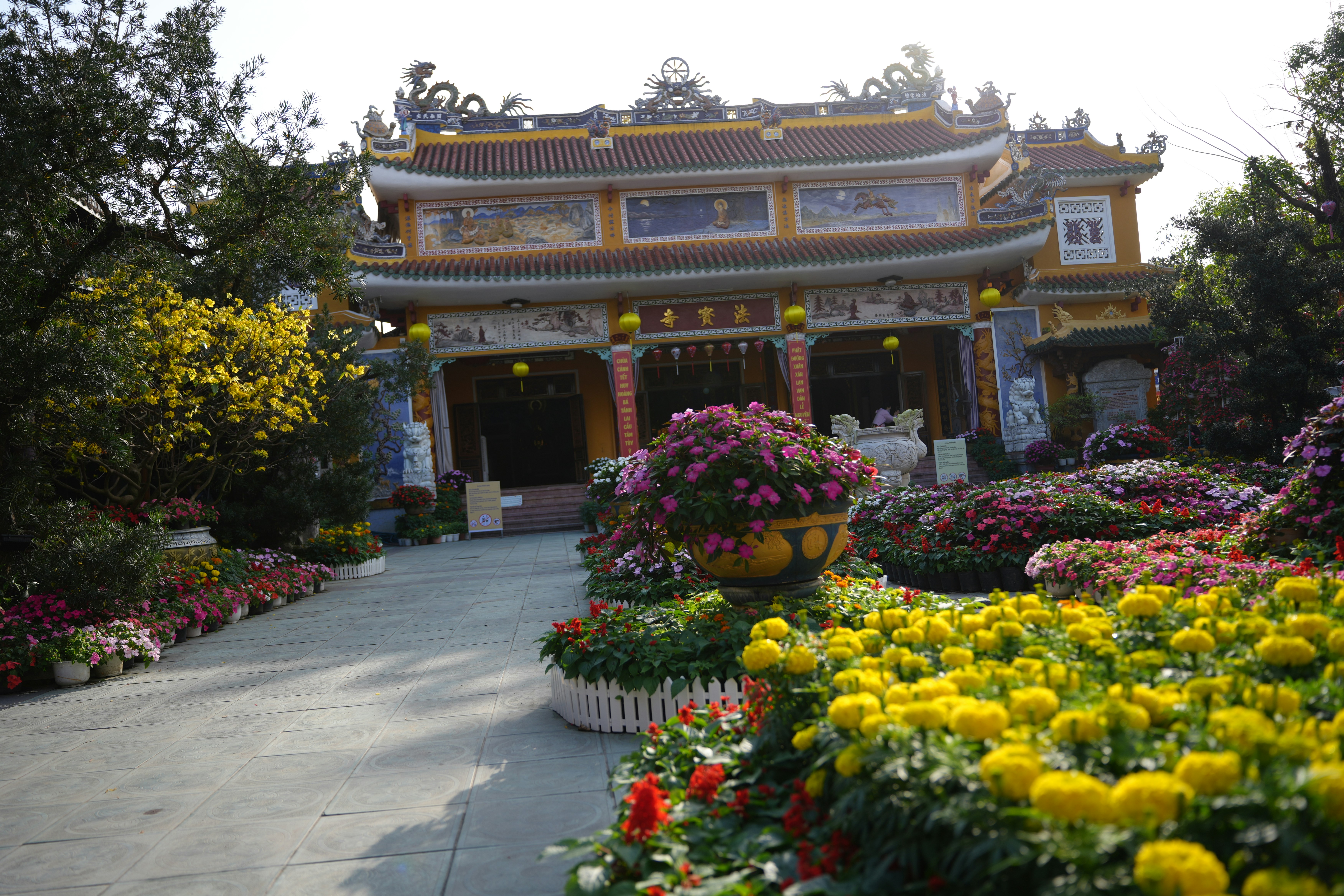 Photo by hoianphotographer