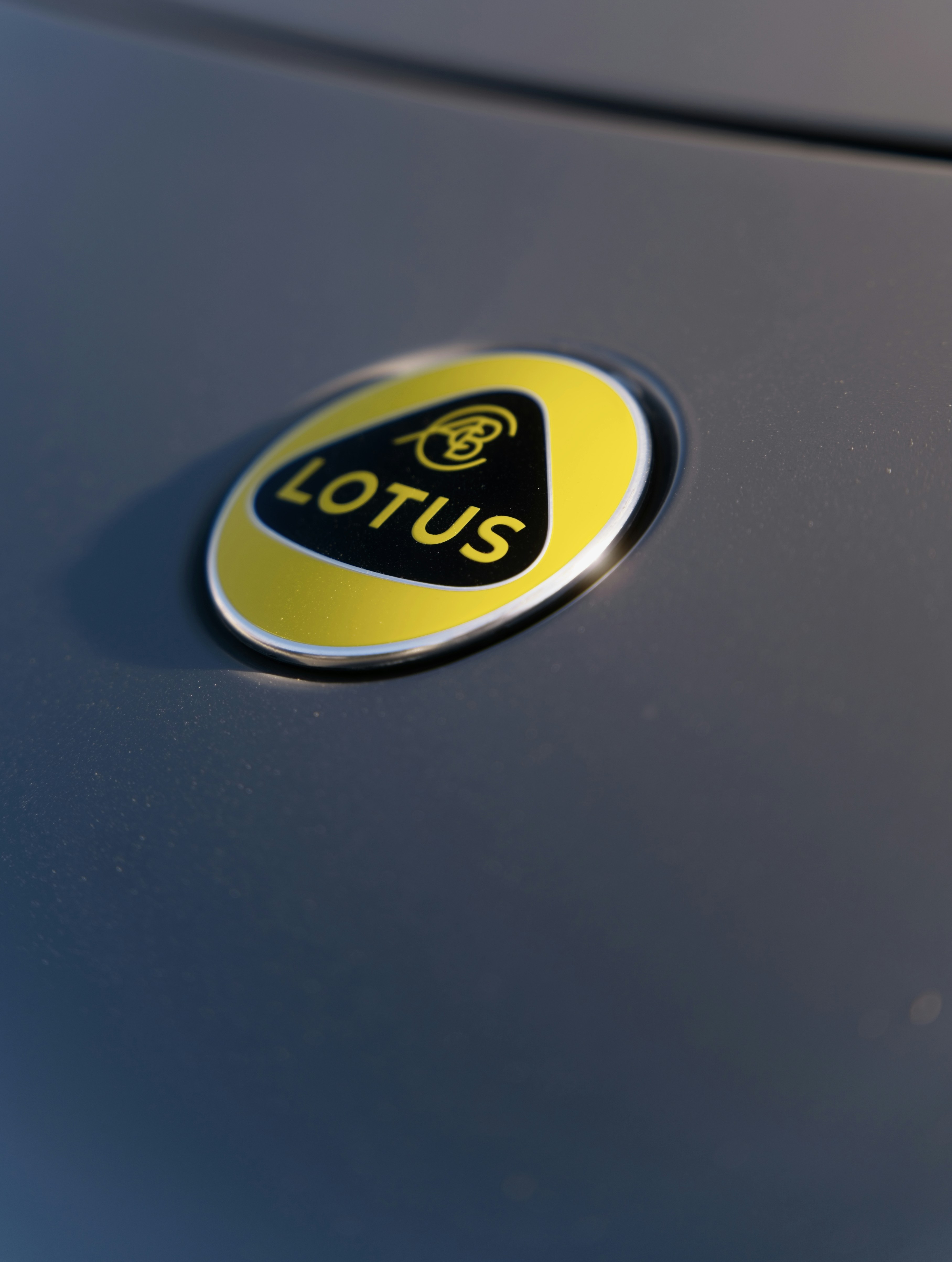 Close-up of a yellow and black lotus car emblem.