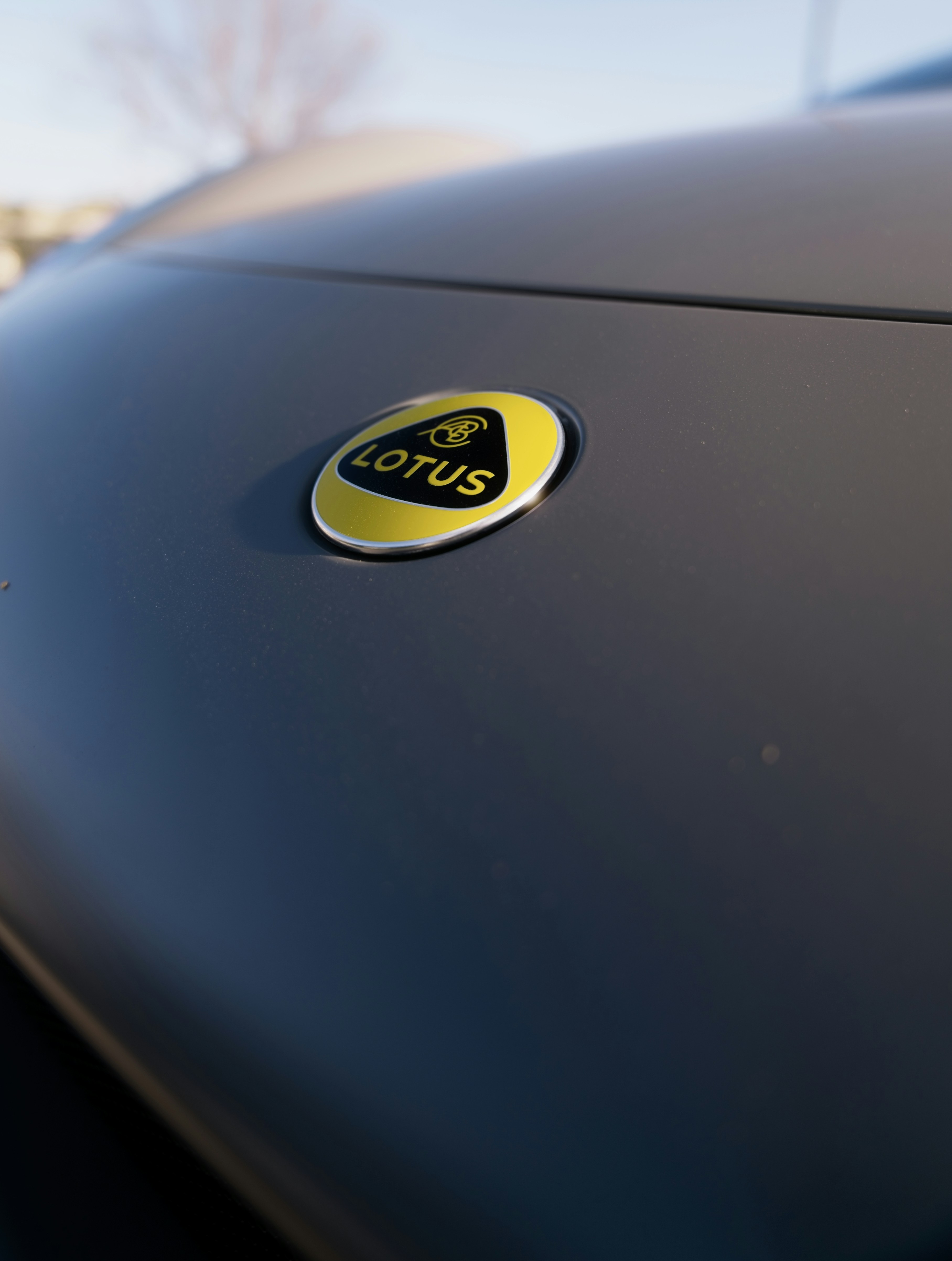 Close-up of a lotus car emblem on hood