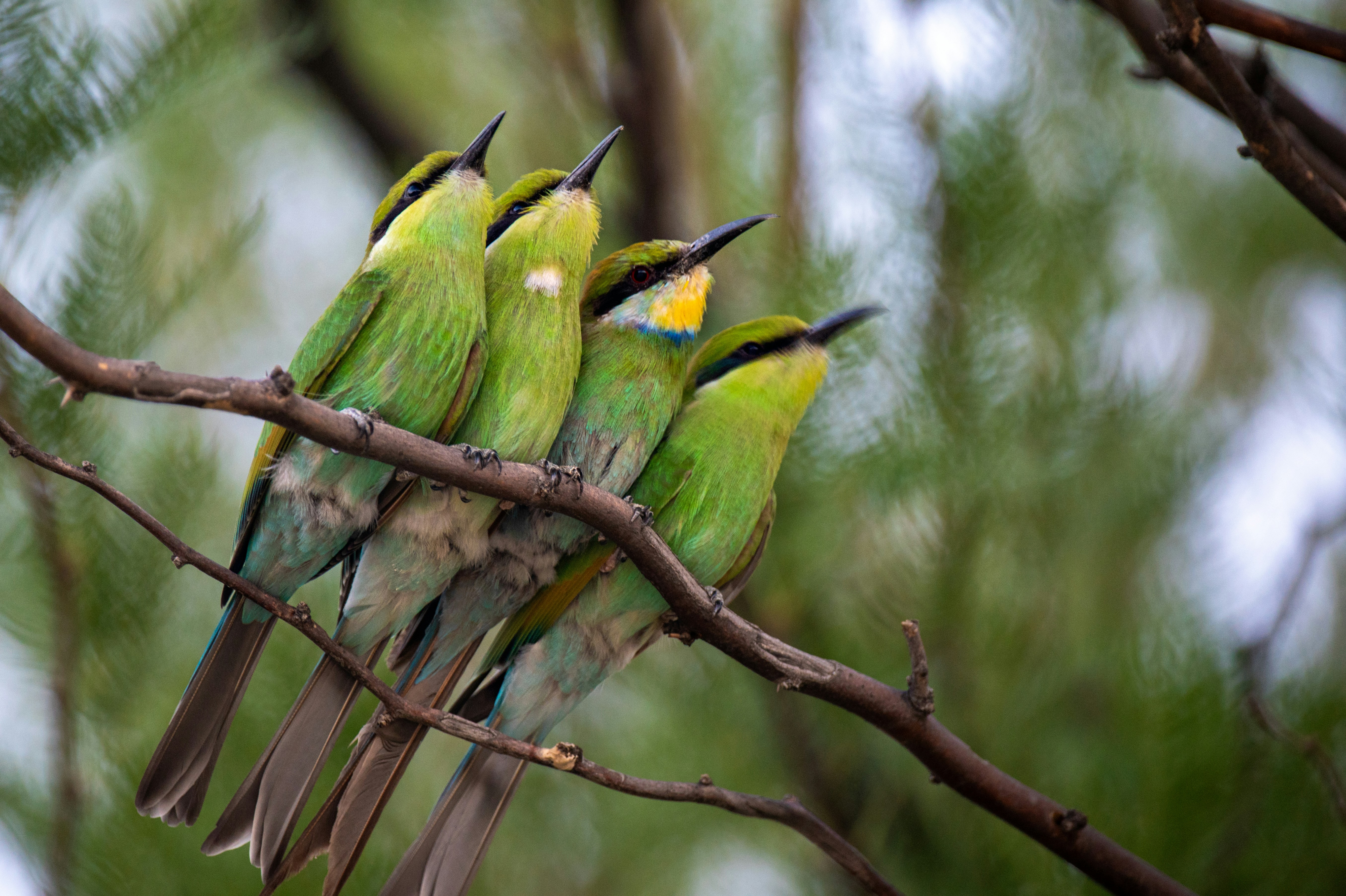 Photo by whoopsadaisies