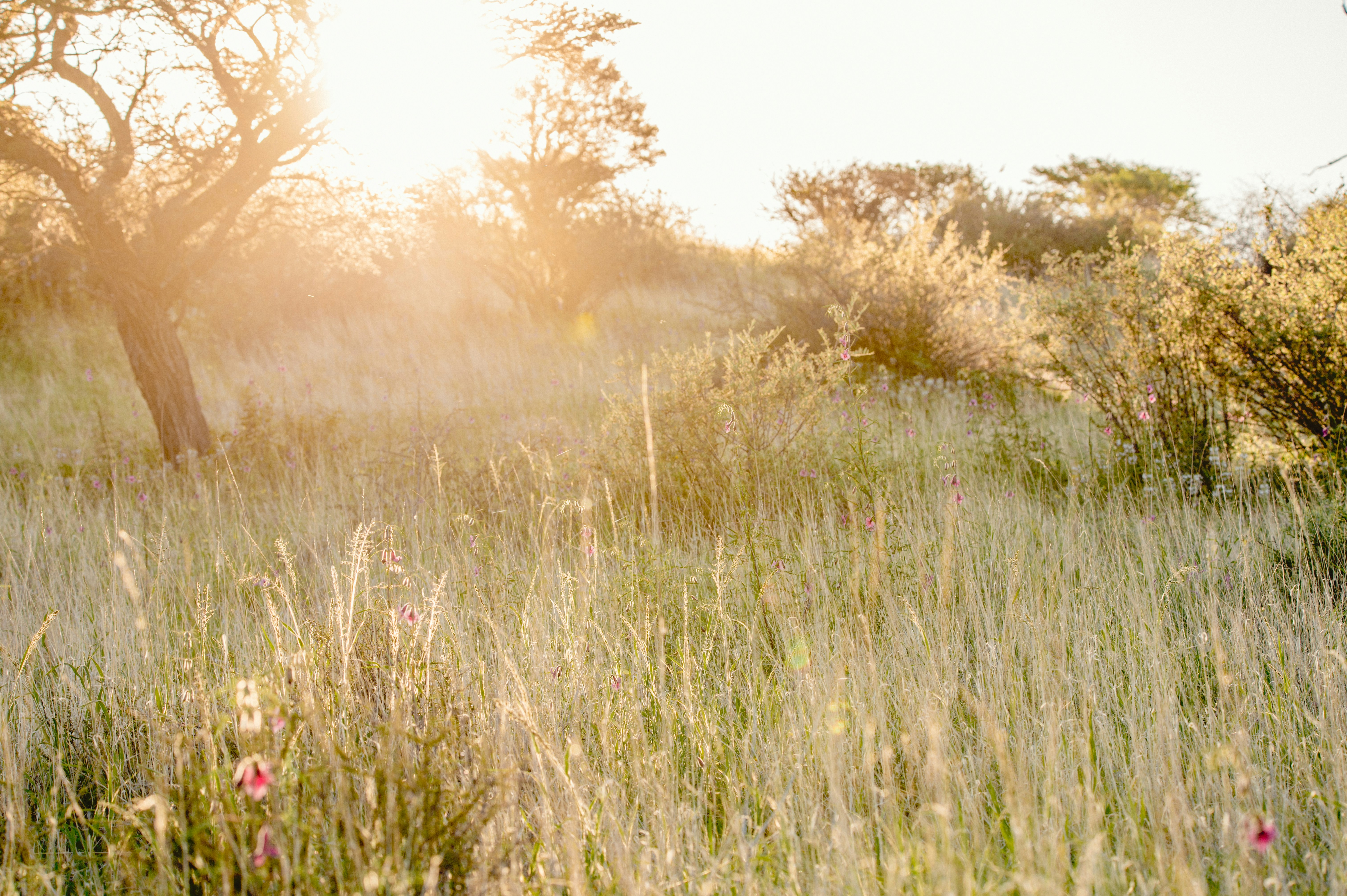 Photo by whoopsadaisies