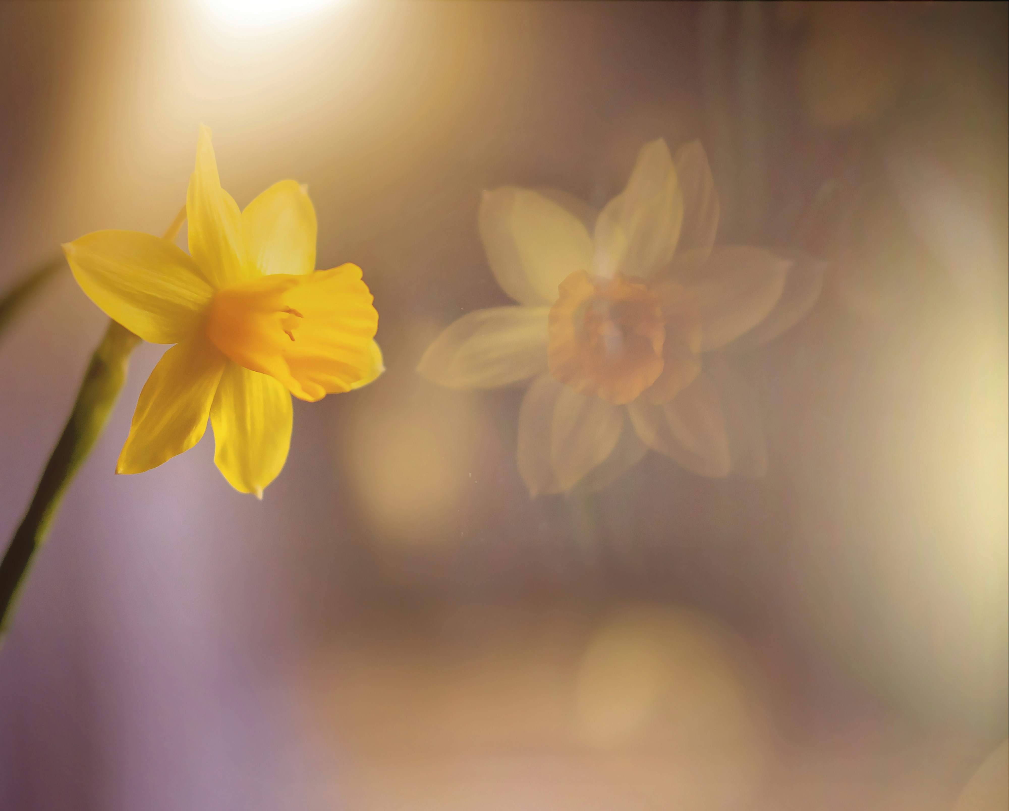 Photo by whoopsadaisies