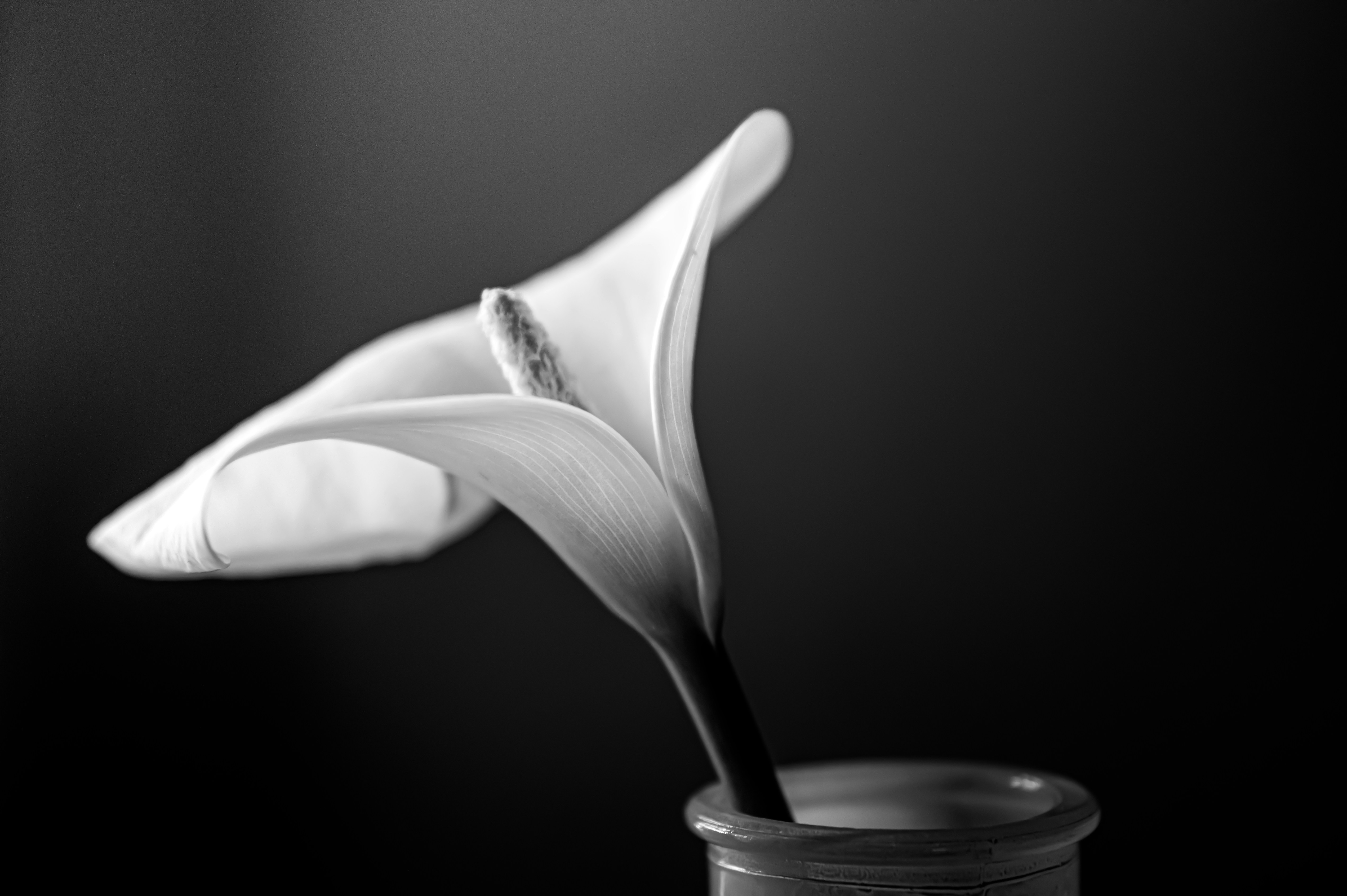 minimalist wedding wallpaper, wallpaper, Minimalist Bridal Look: Effortless Wedding Style 4