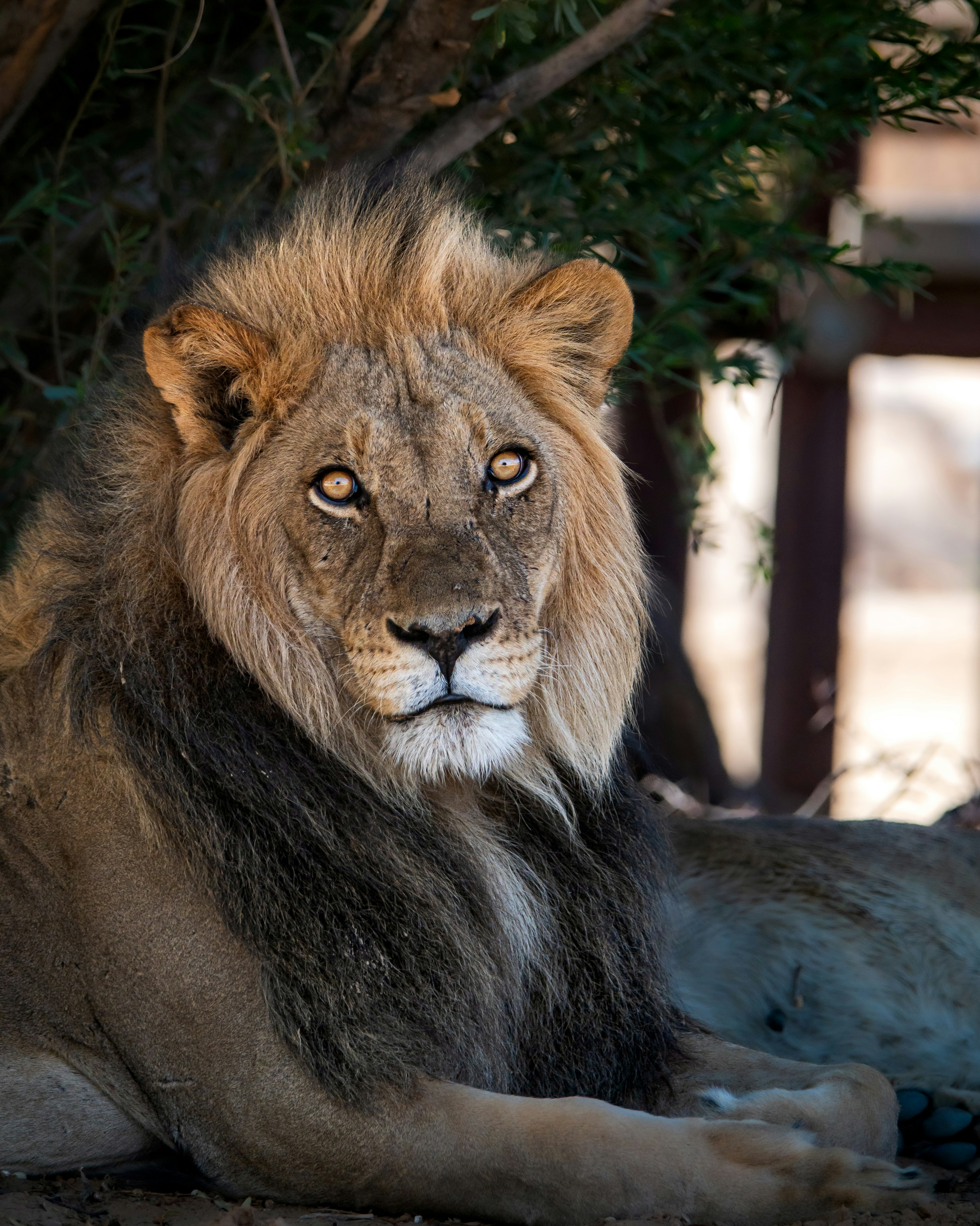 Photo by whoopsadaisies