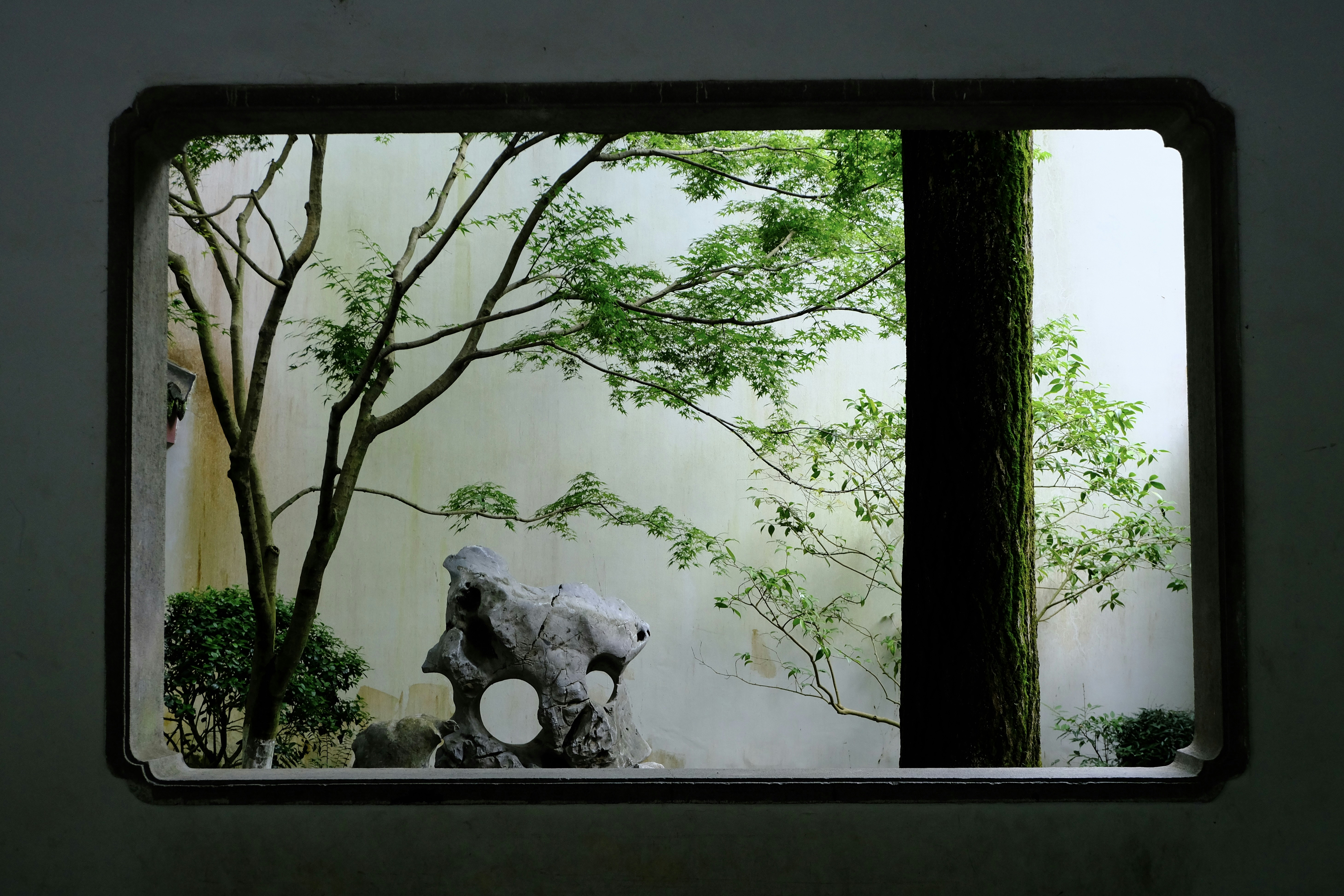 명상 마인드풀니스 차분한 사람