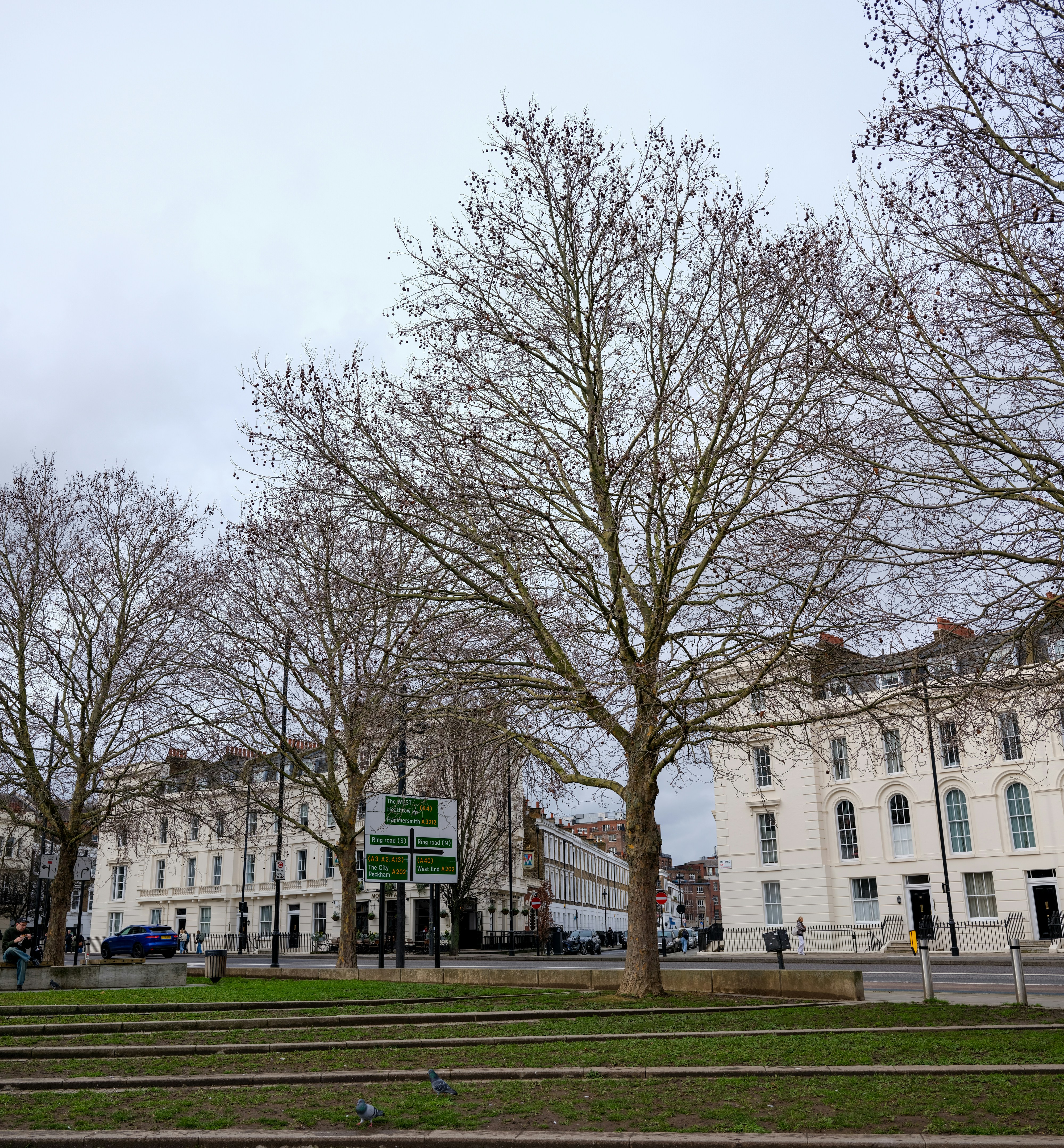 Photo by tanyabarrow