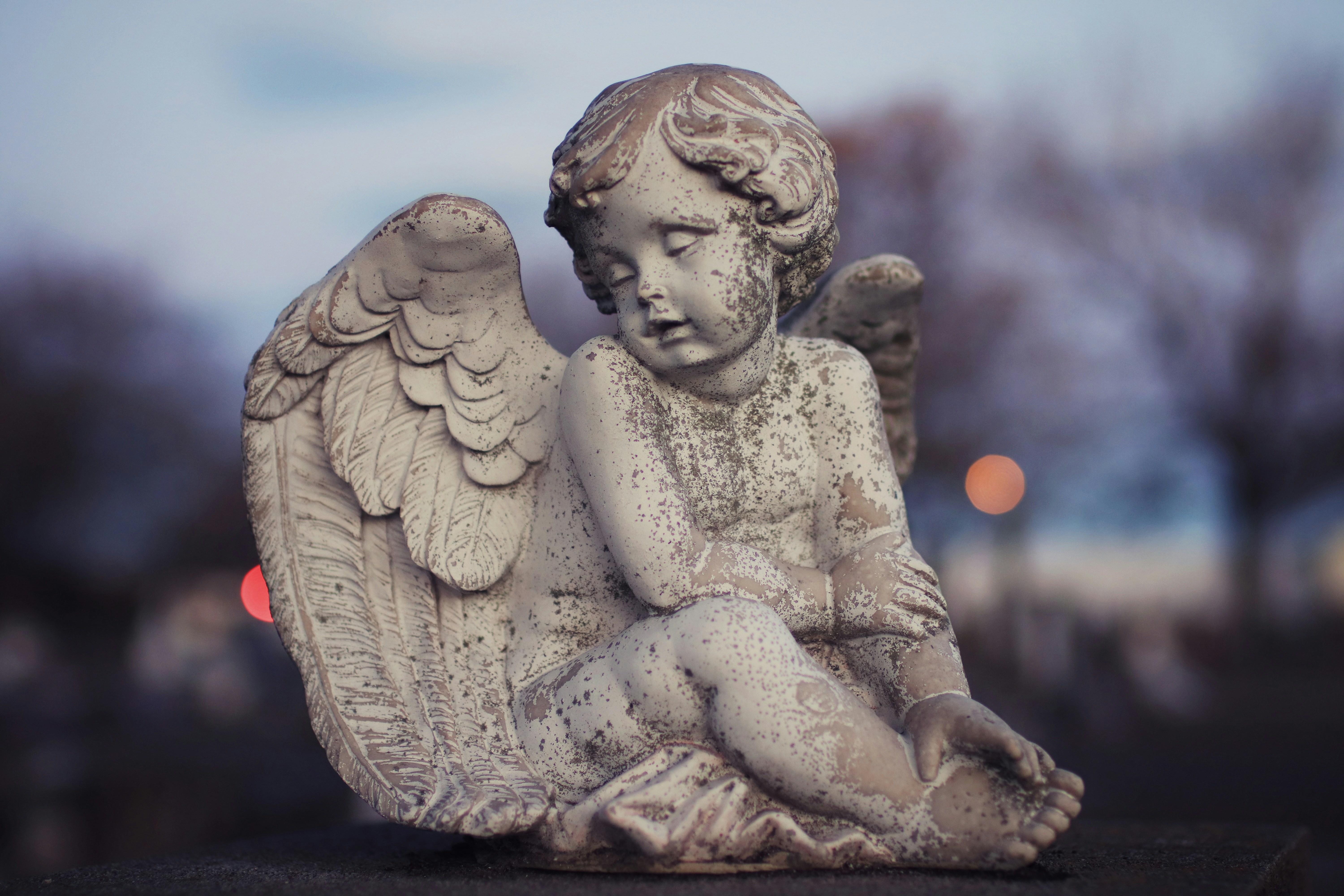 Photo by valiant_lambda