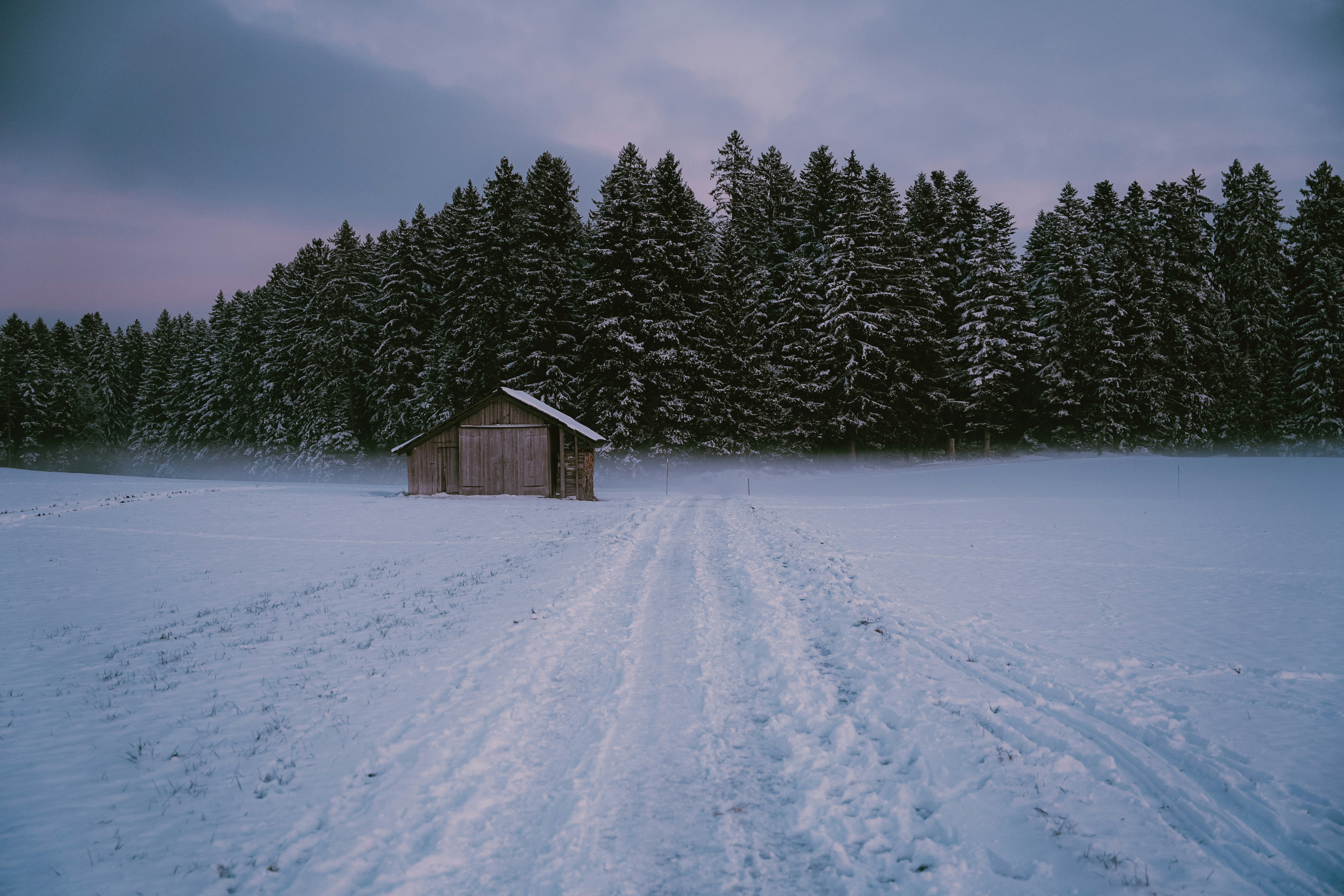 Photo by anthonygomez