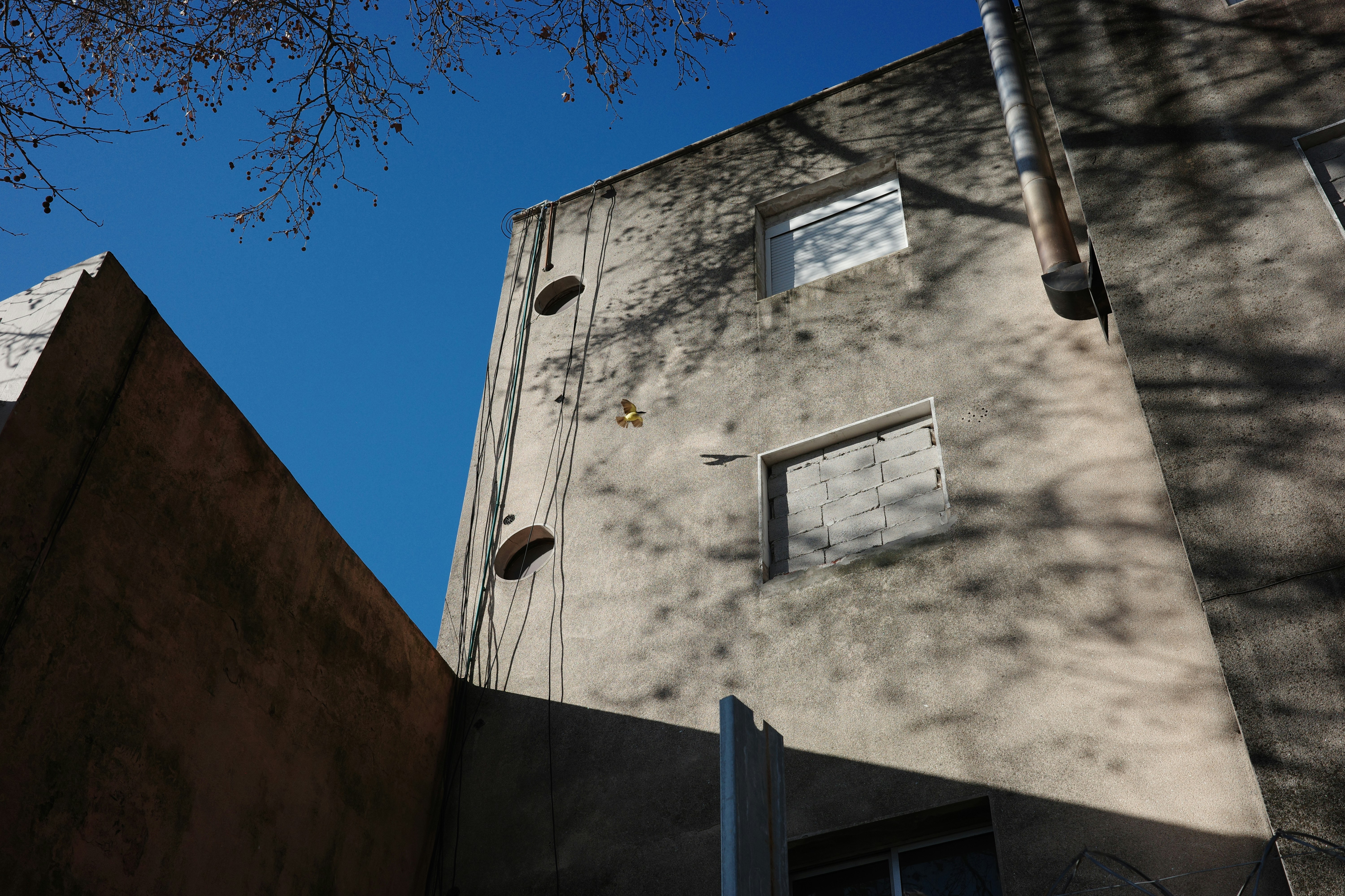 Building facade with windows against blue sky — Daniel Mironov