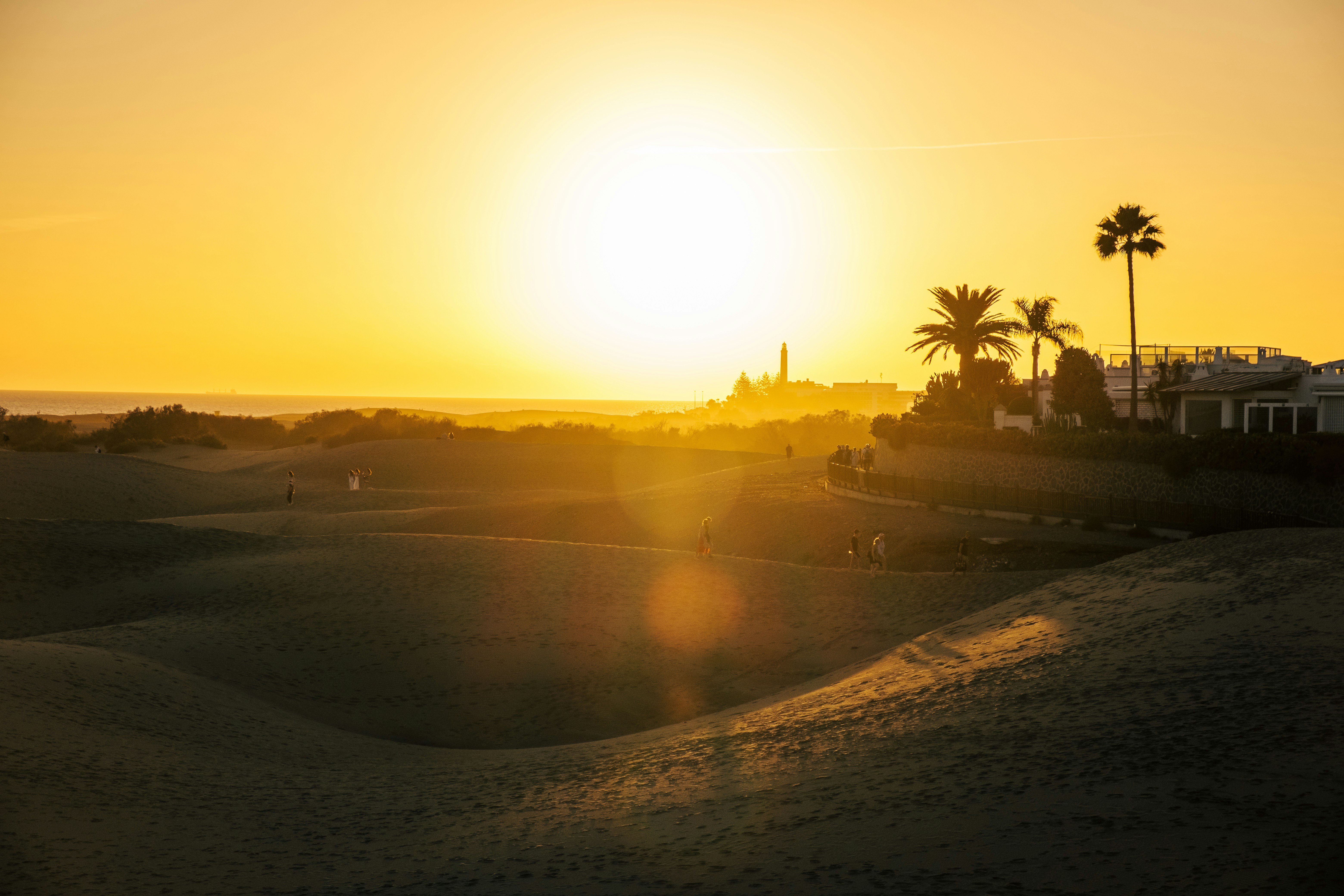 Golden sunset over sand dunes with palm trees.