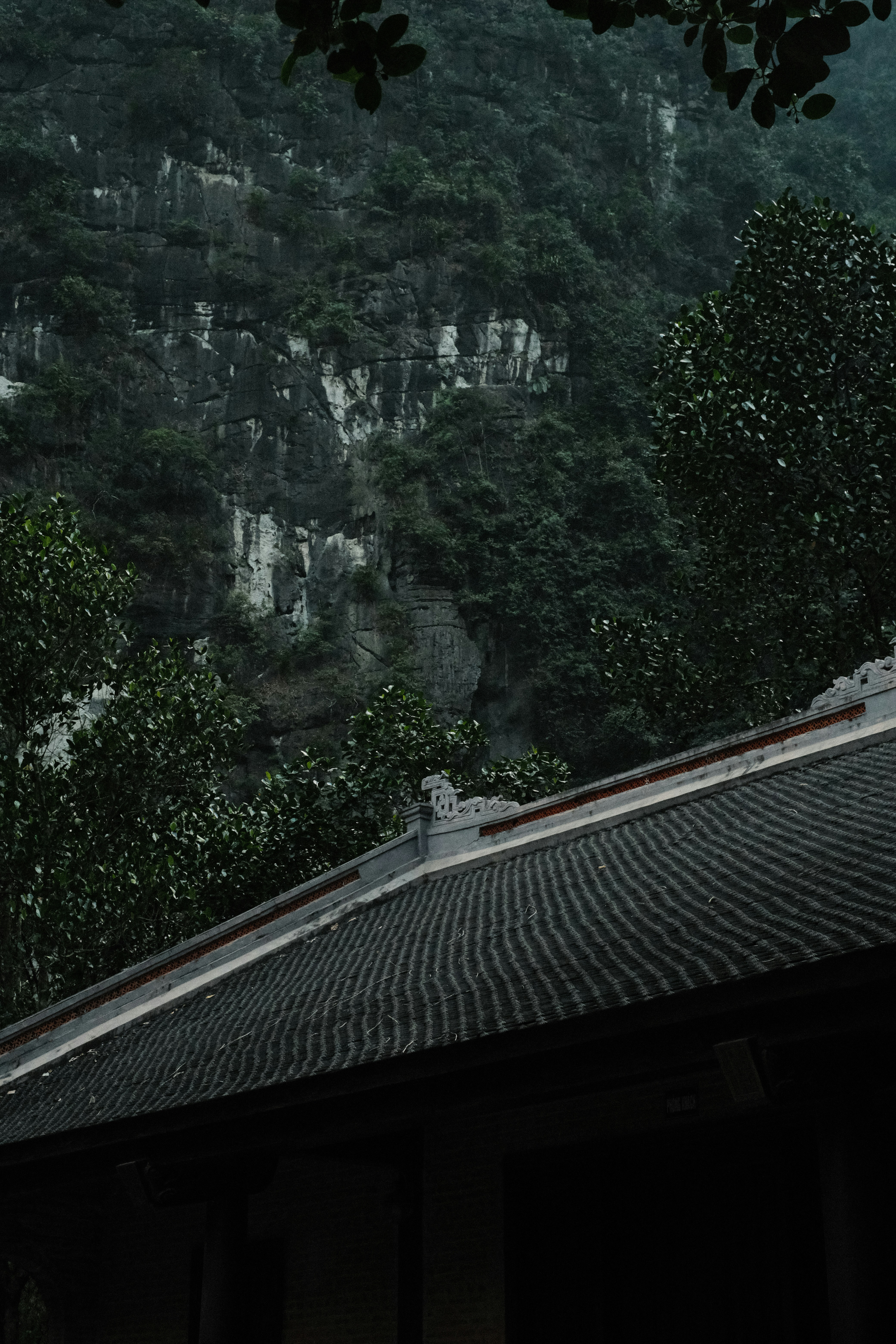 Photo by monodyle