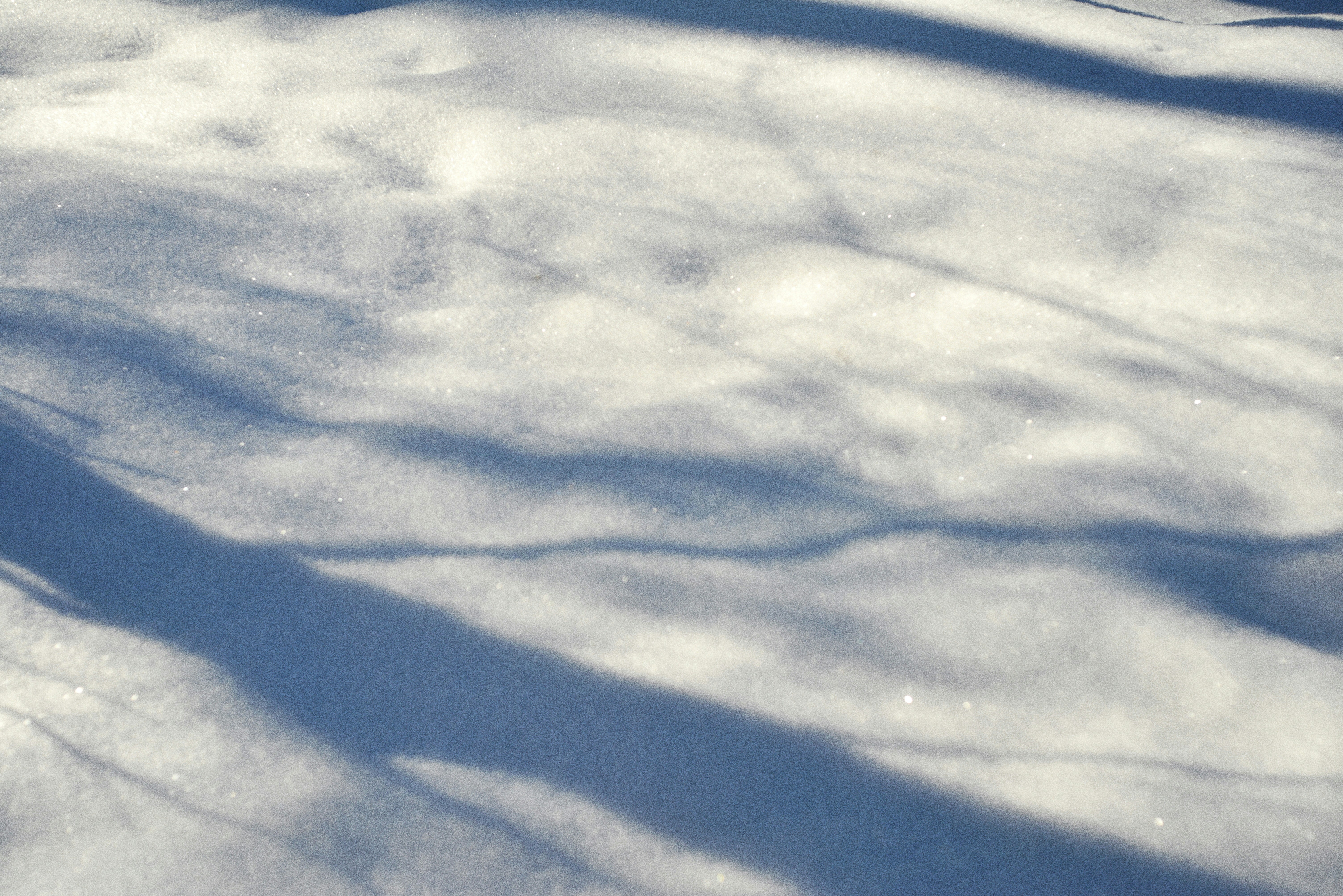 Photo by cherstve_pechivo