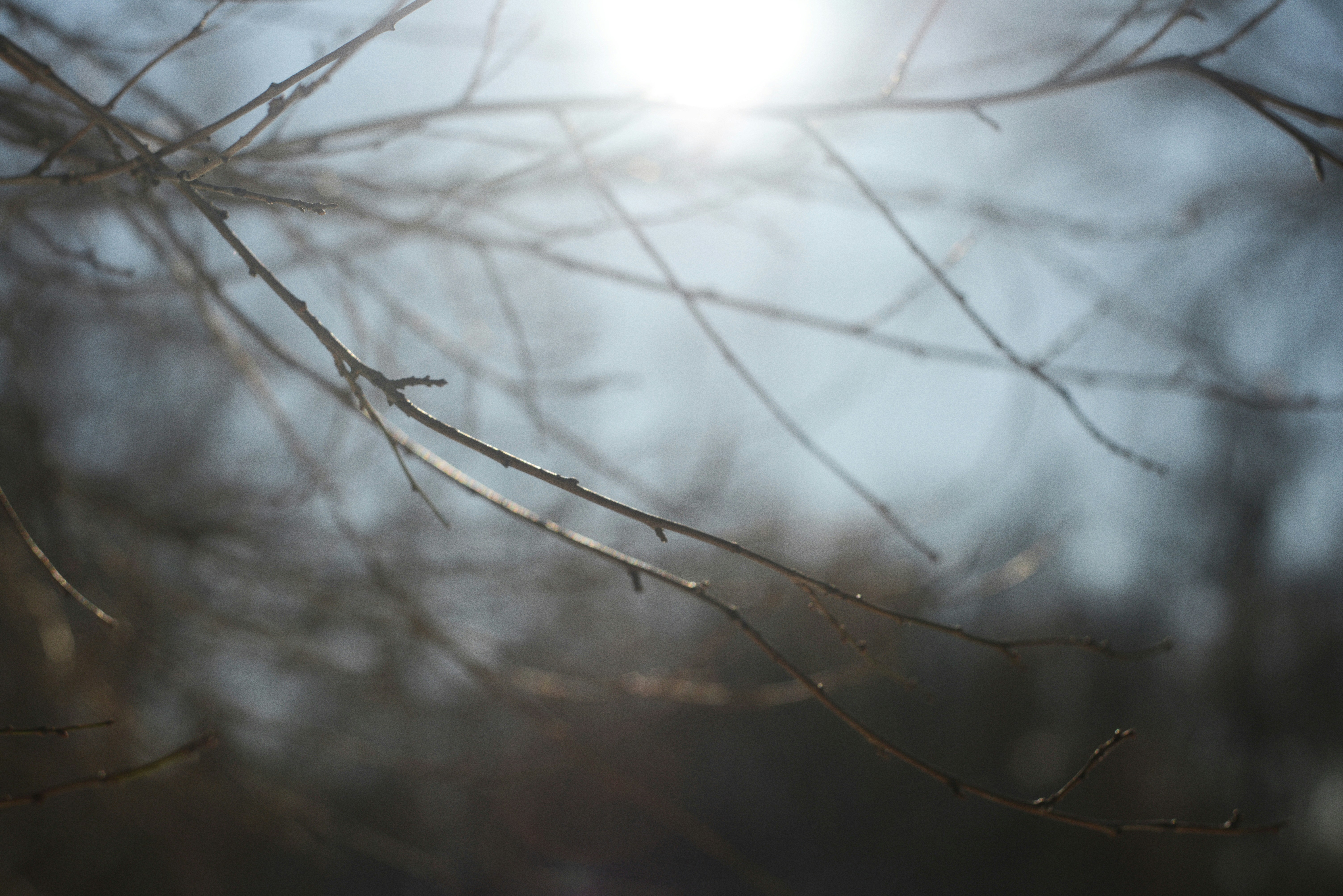 Photo by cherstve_pechivo