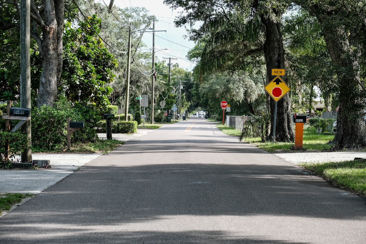A quiet residential street lined with trees in an American neighborhood representing the homeownership gap facing millennials