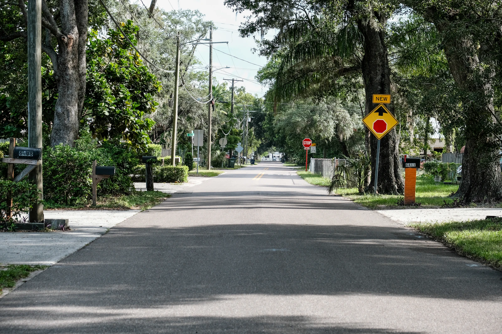 Tree-lined residential street