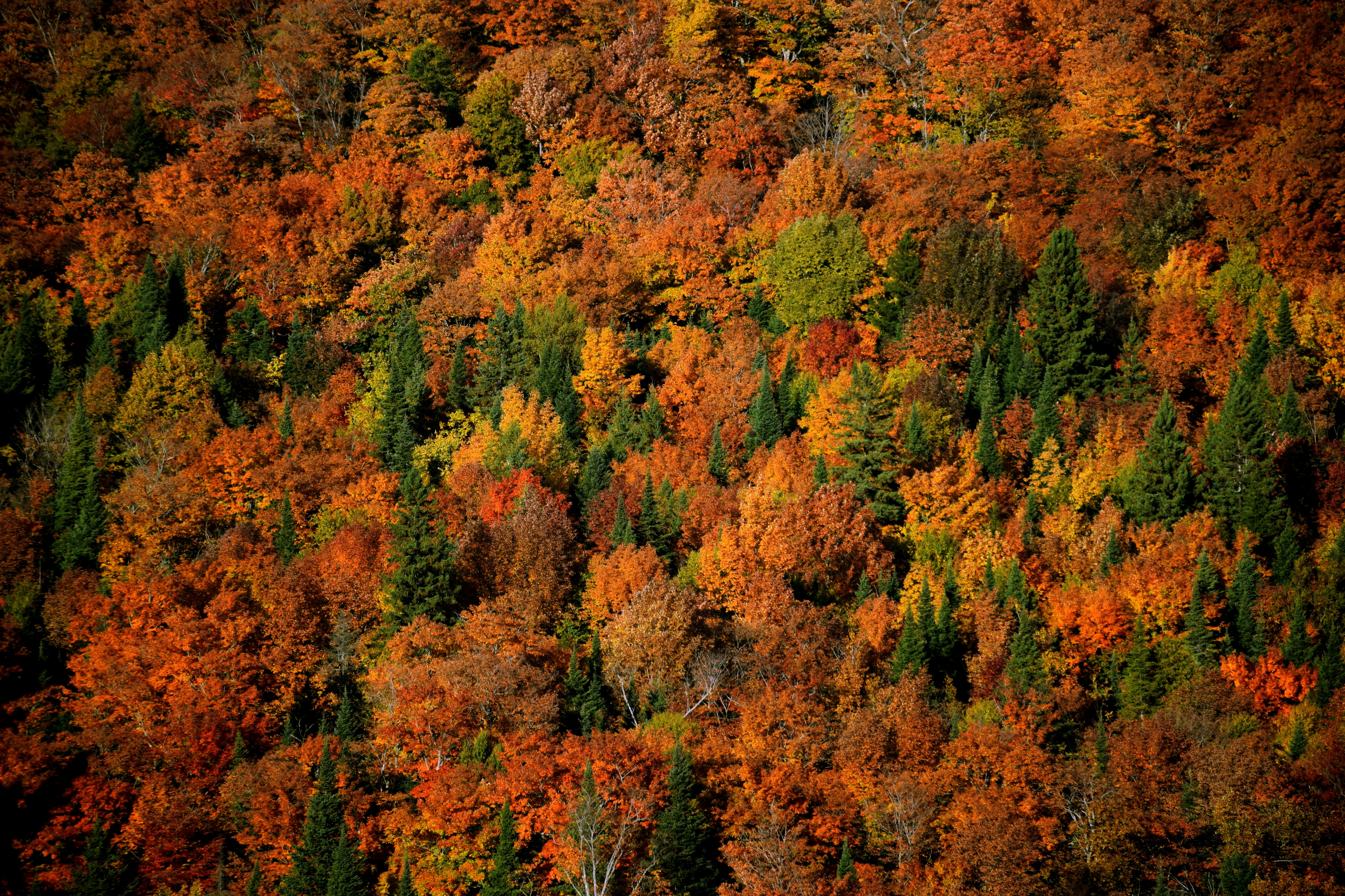 Photo by carolgauthier