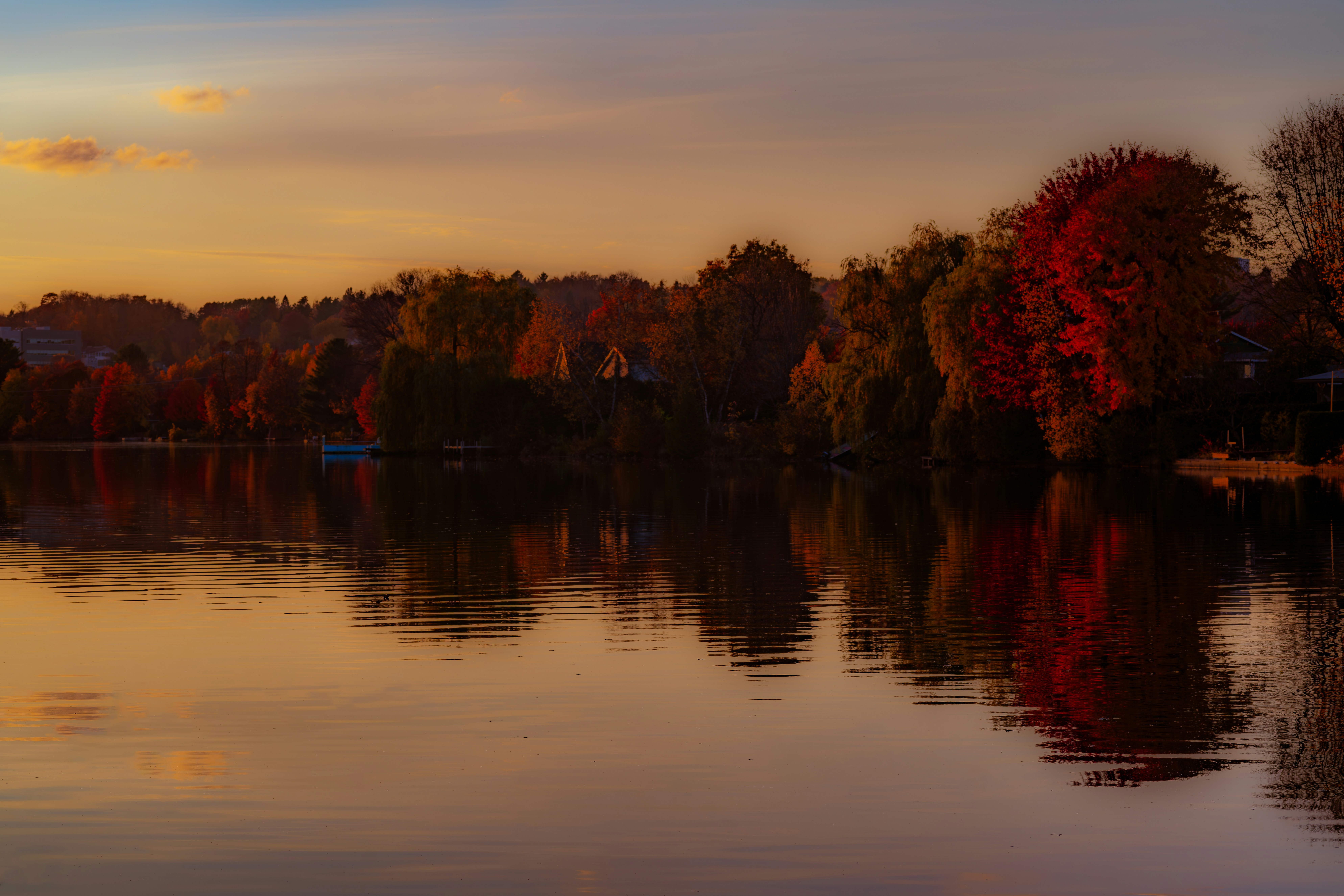 Photo by carolgauthier