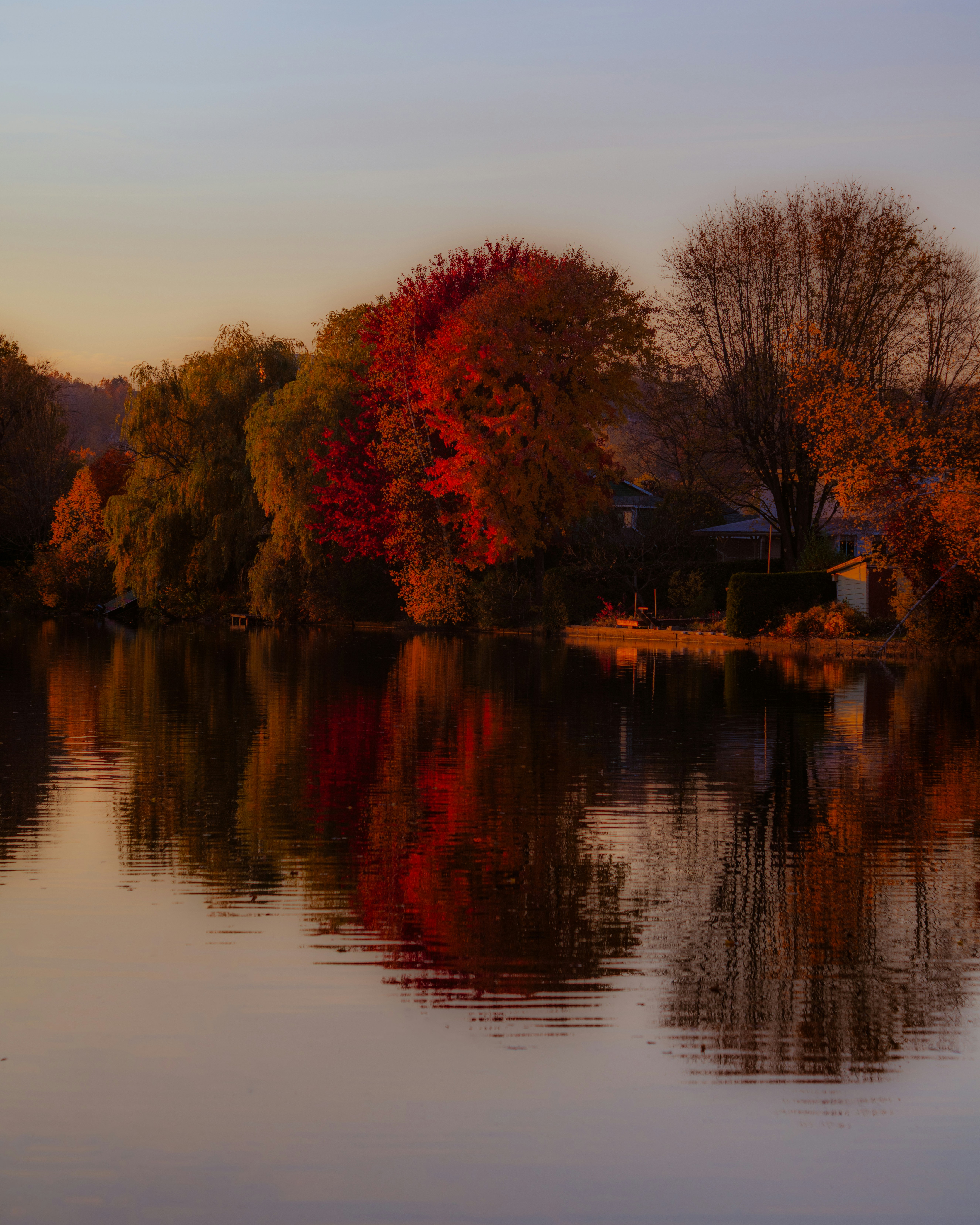 Autumn trees with colorful leaves reflected in water.