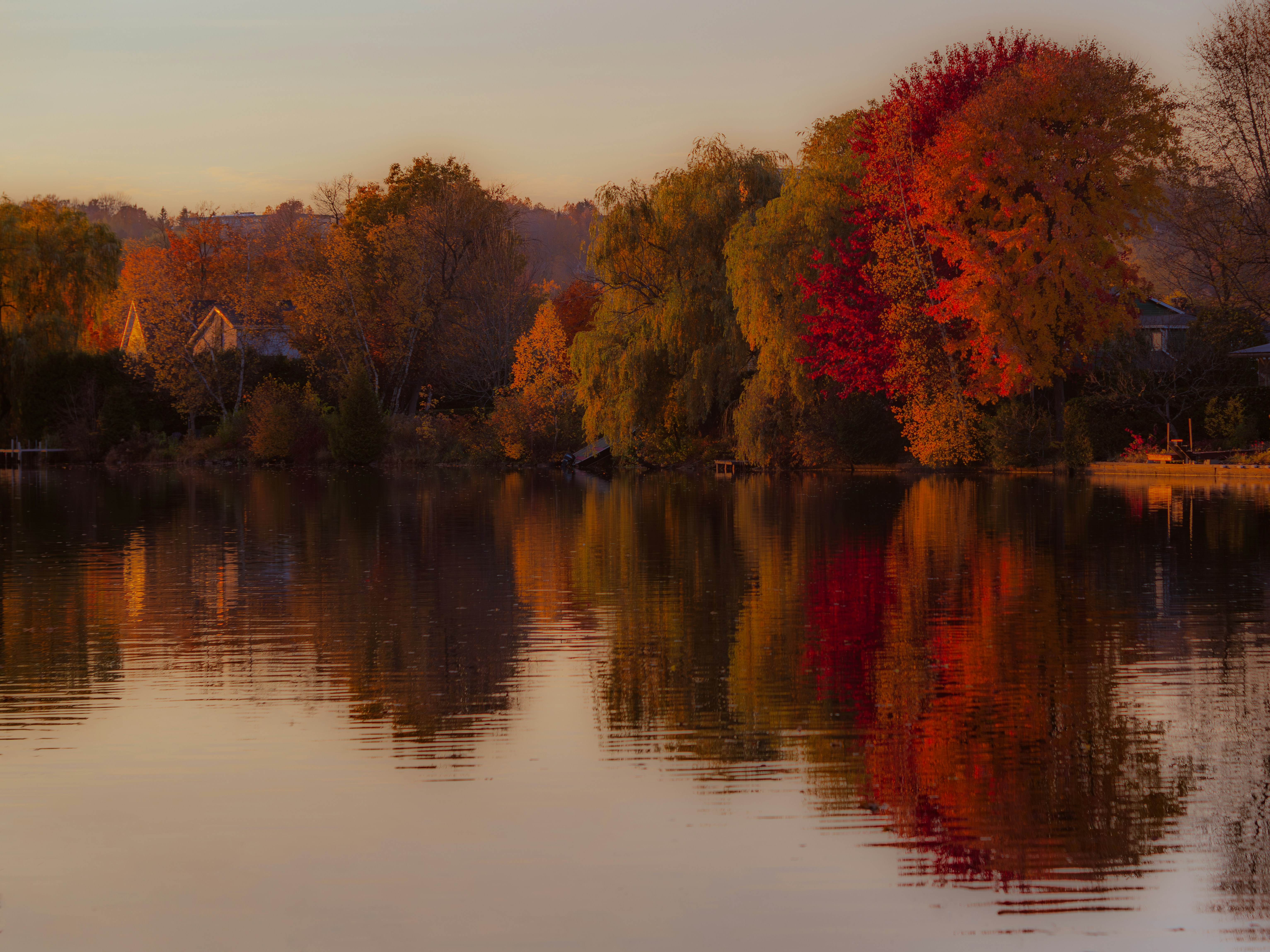Autumn trees reflect in calm water at sunset