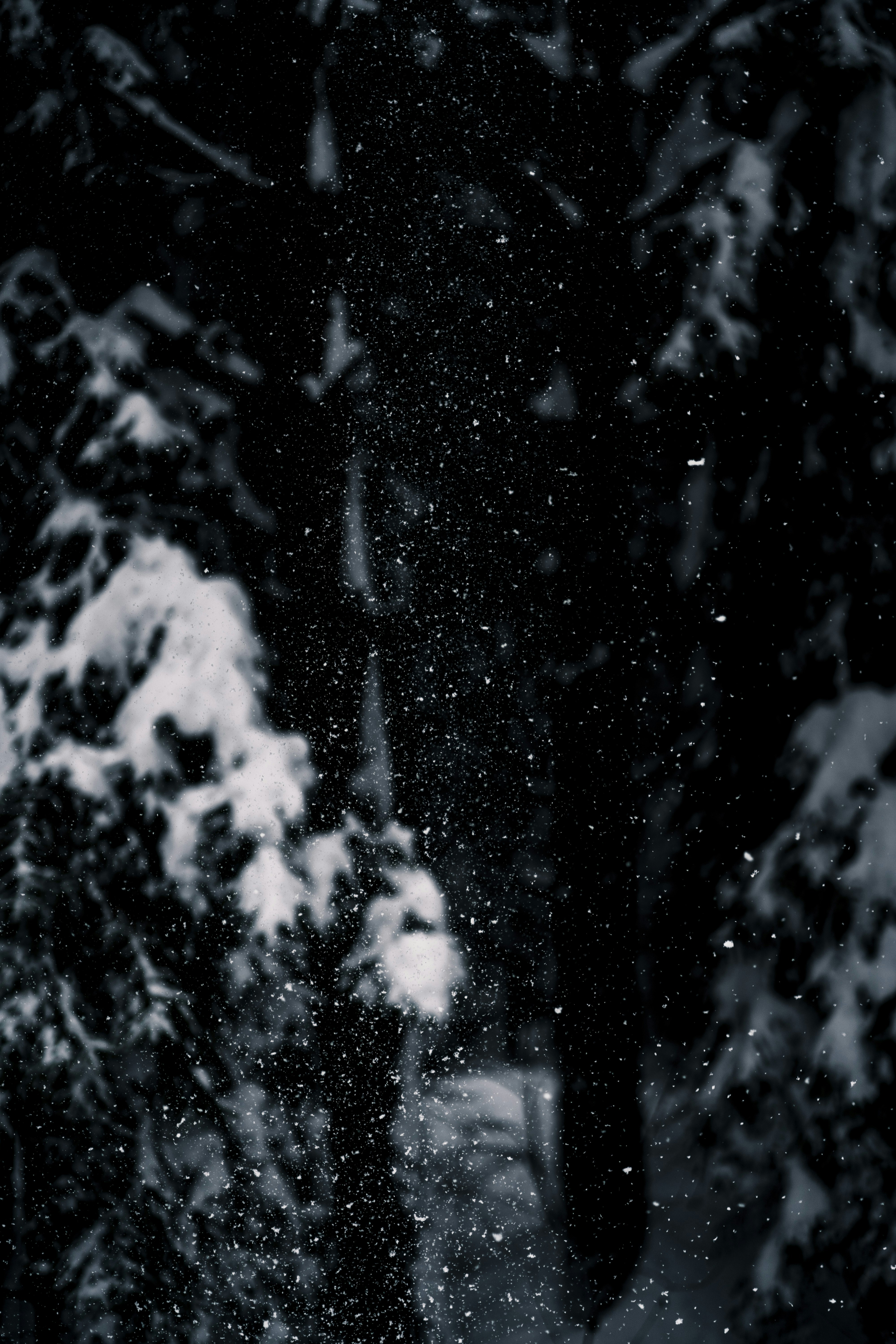 Photo by wild_projects