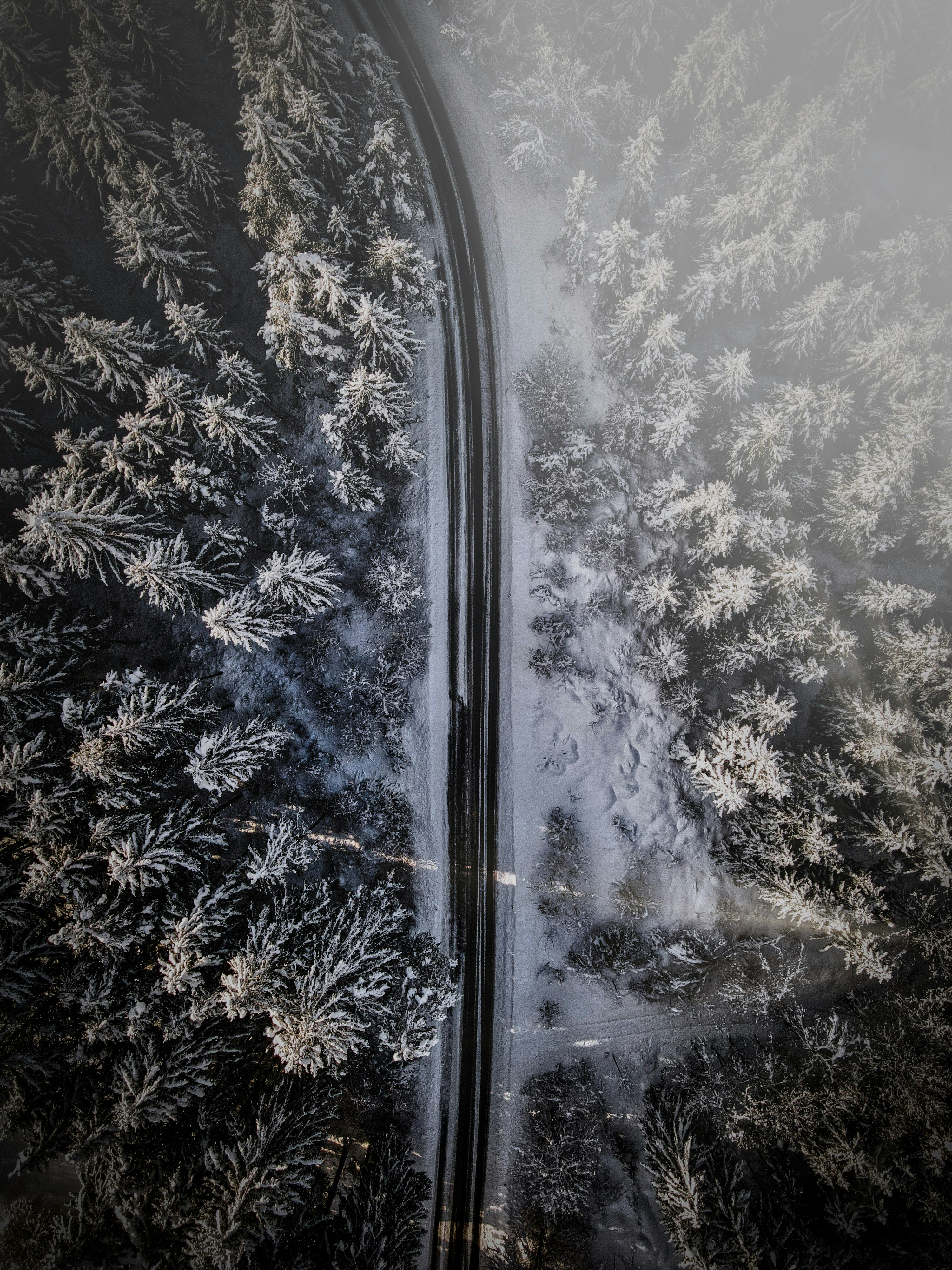 Aerial view of a snowy forest road in winter