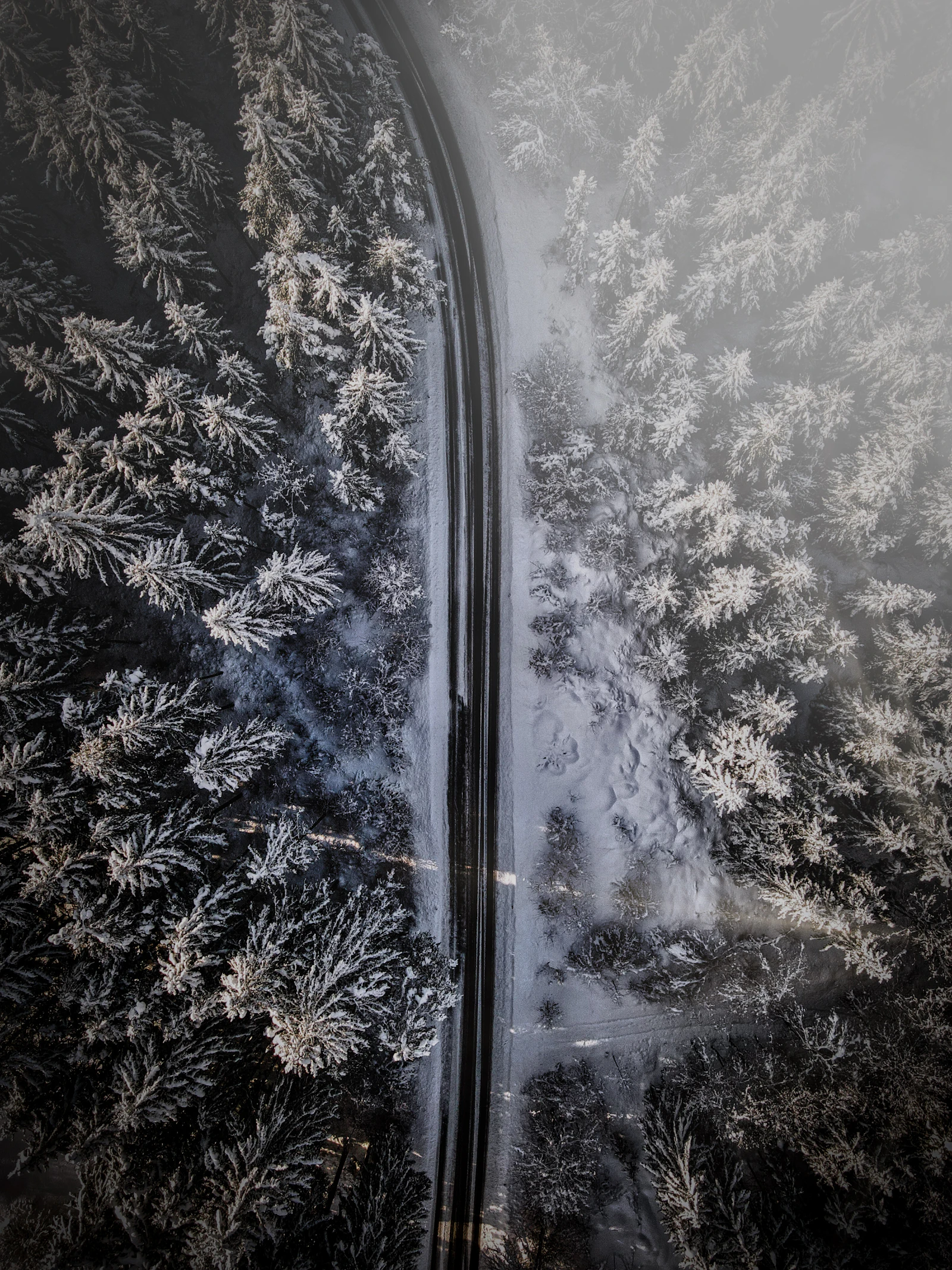 Aerial view of a two-lane road cutting through snow-covered pine forest near Villach, Austria