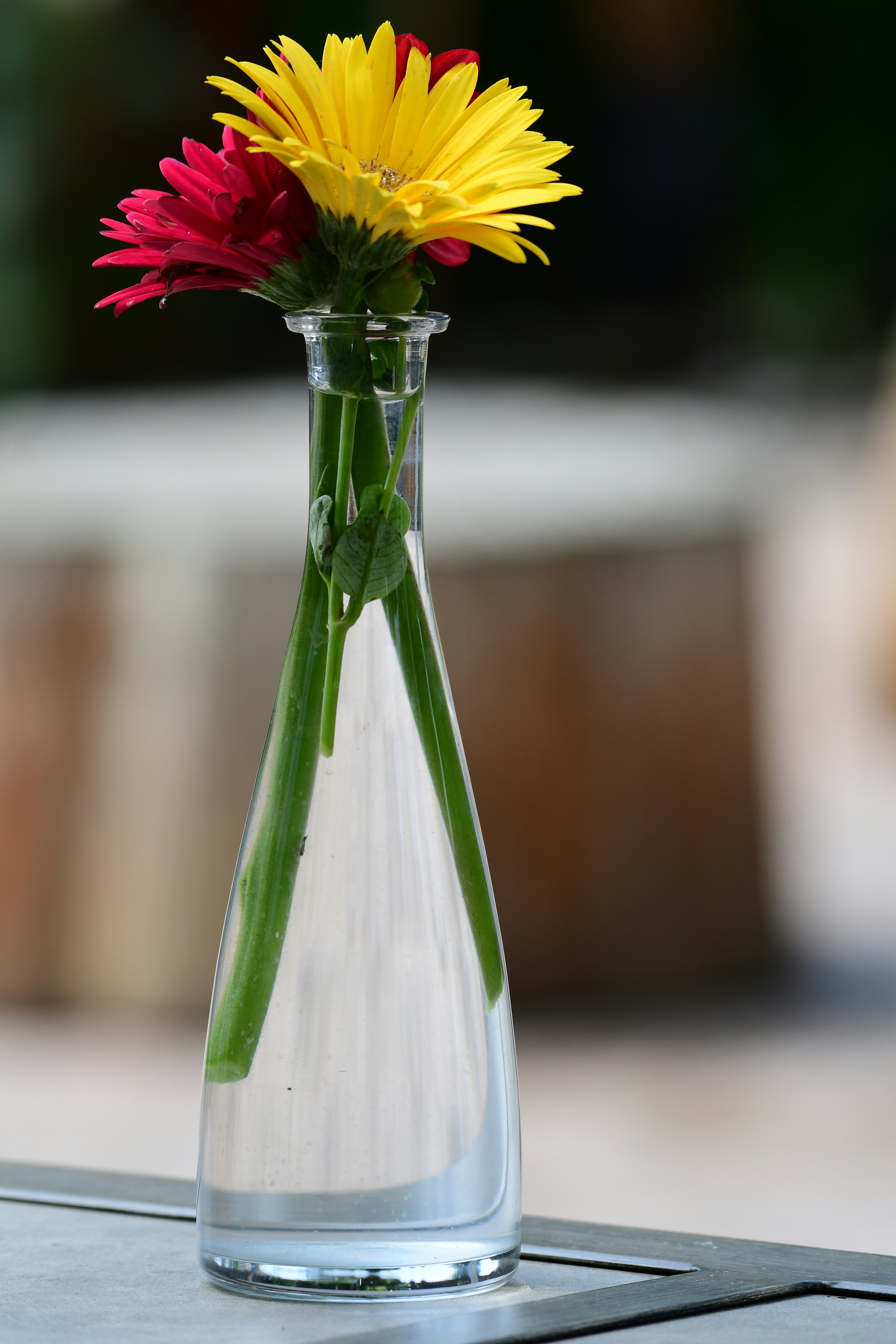 Photo by samuelprevin