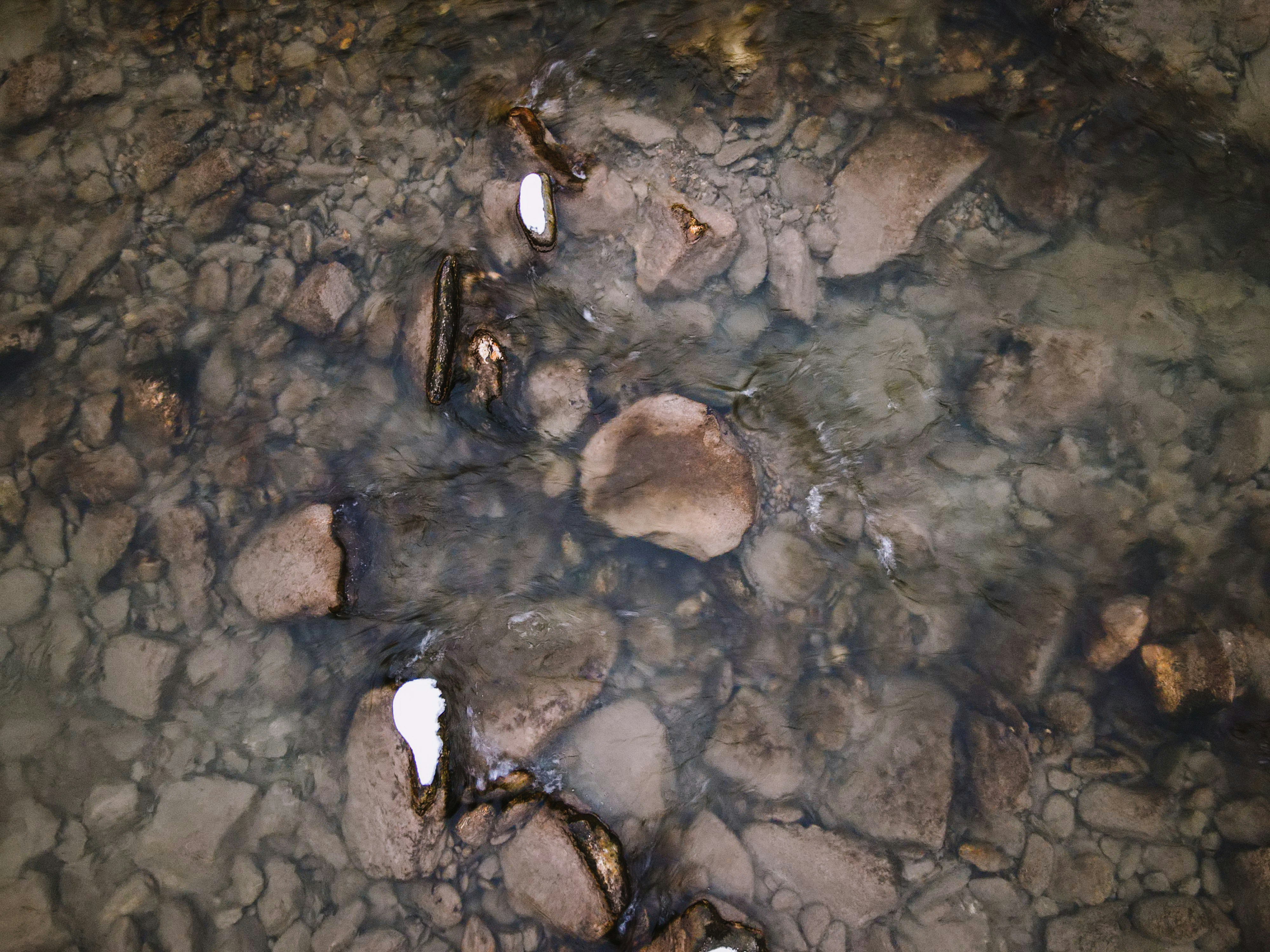 Clear water flowing over river rocks