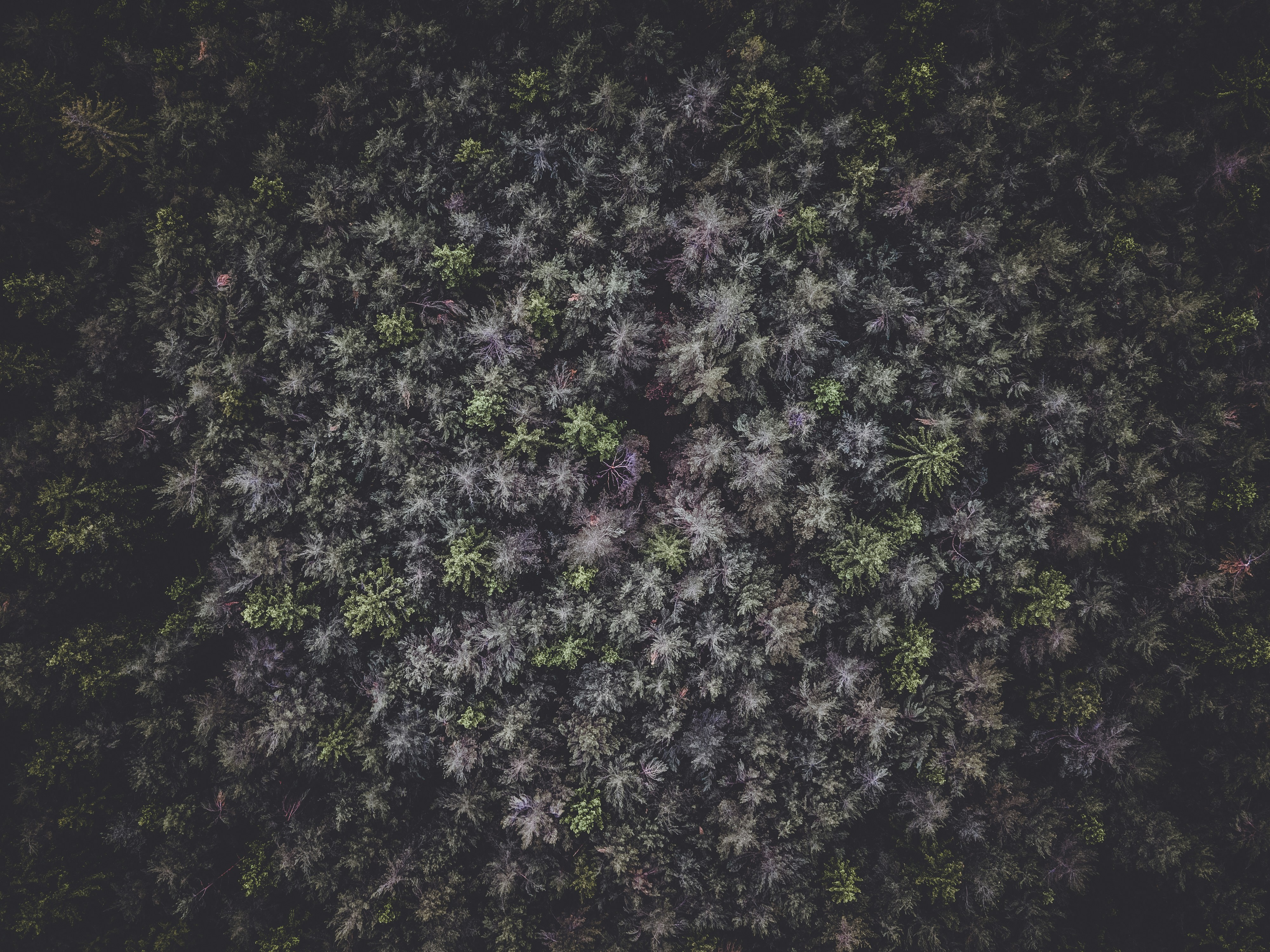 Photo by wild_projects