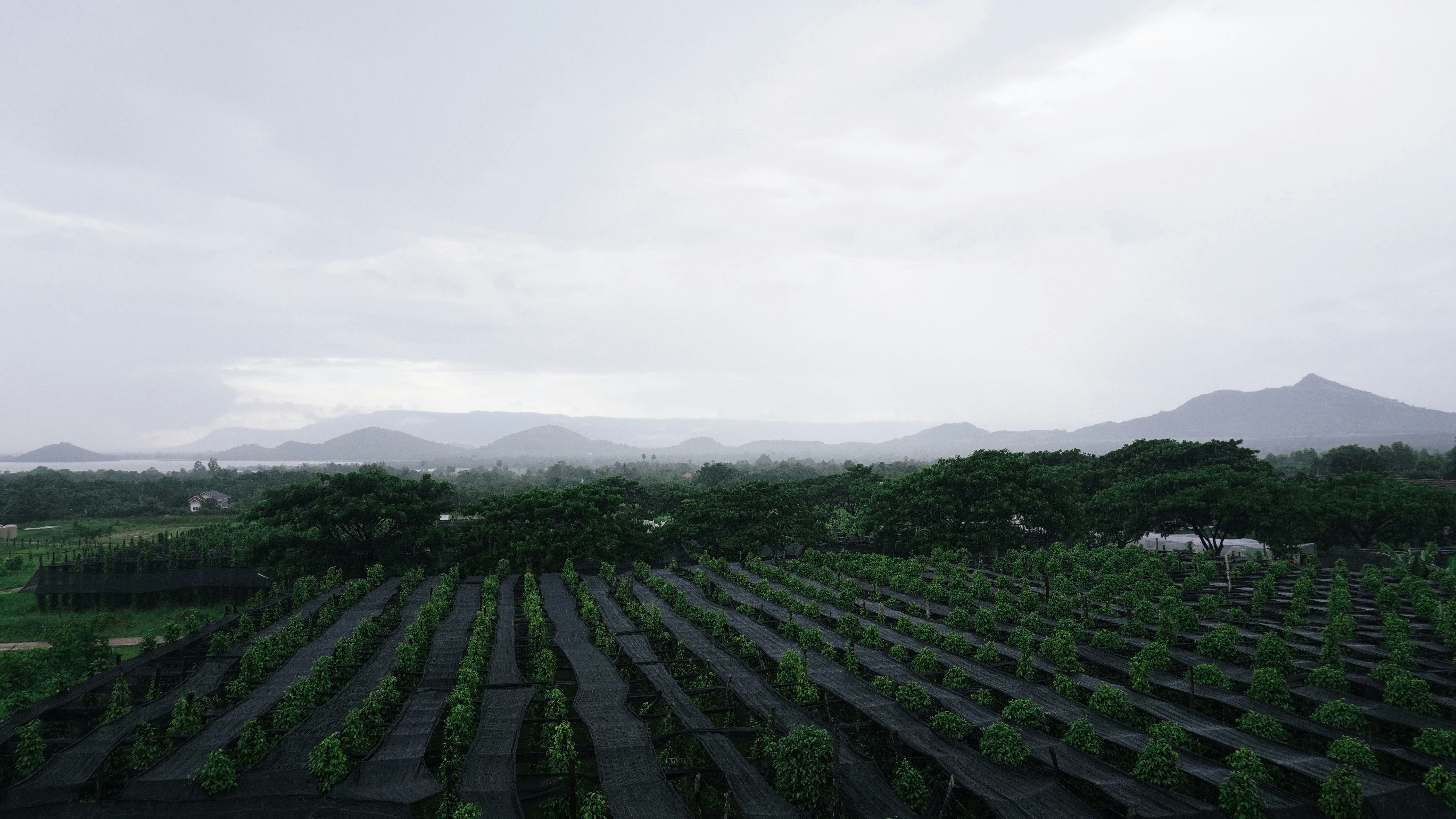 Kerala gallery image 3