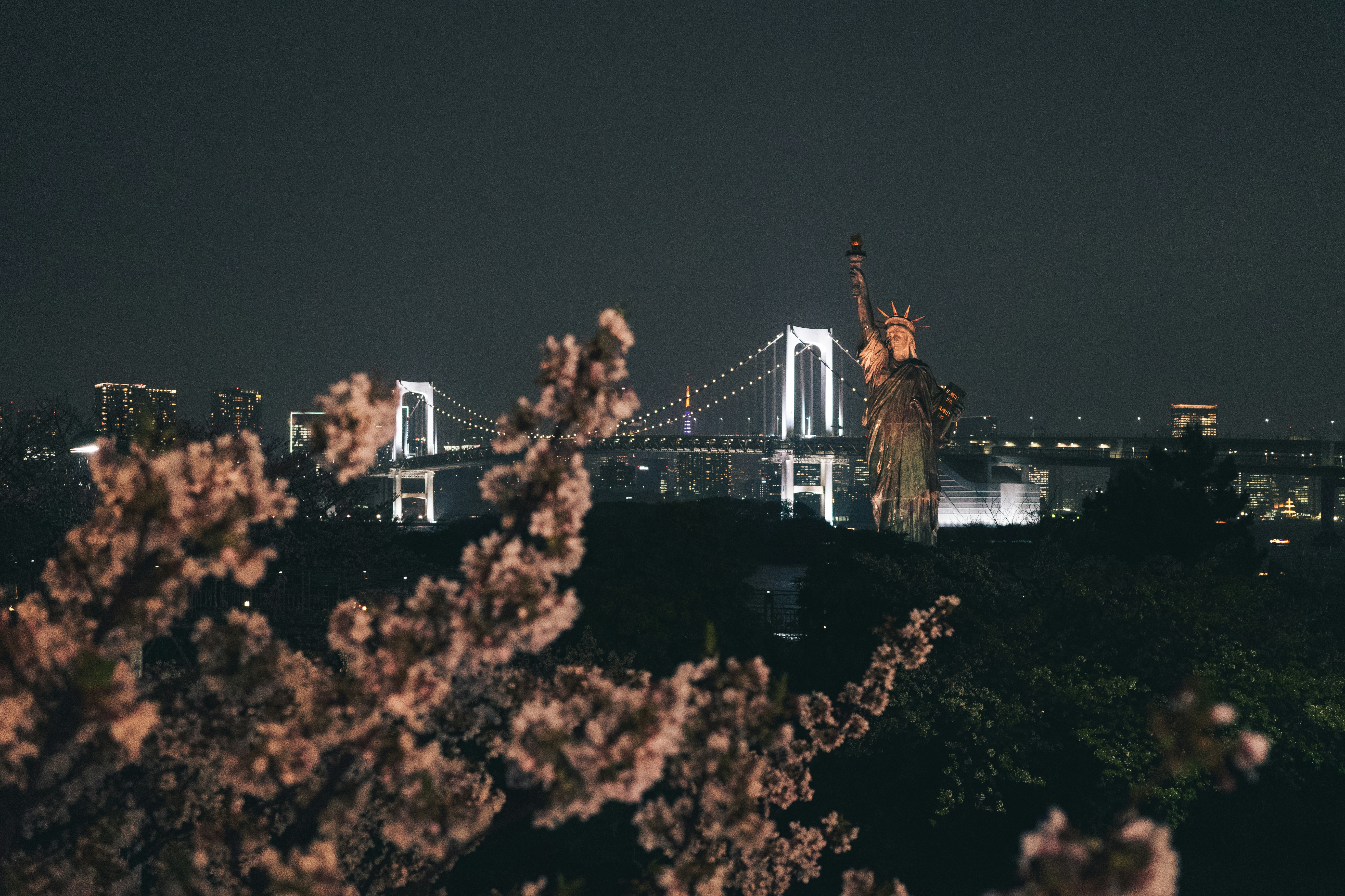 Illuminated bridge at night with cherry blossoms in foreground