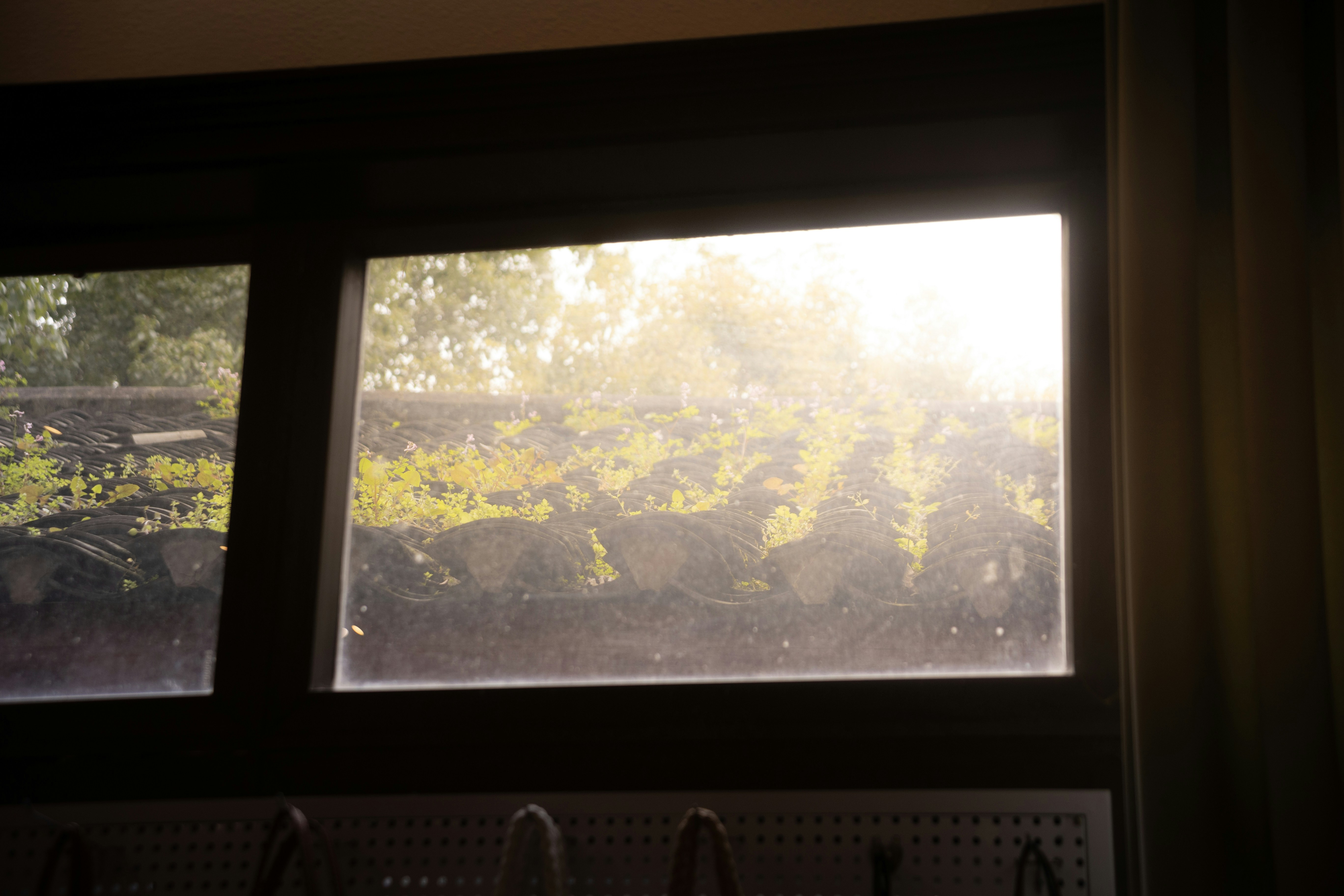 Photo by wu_hua_jiang