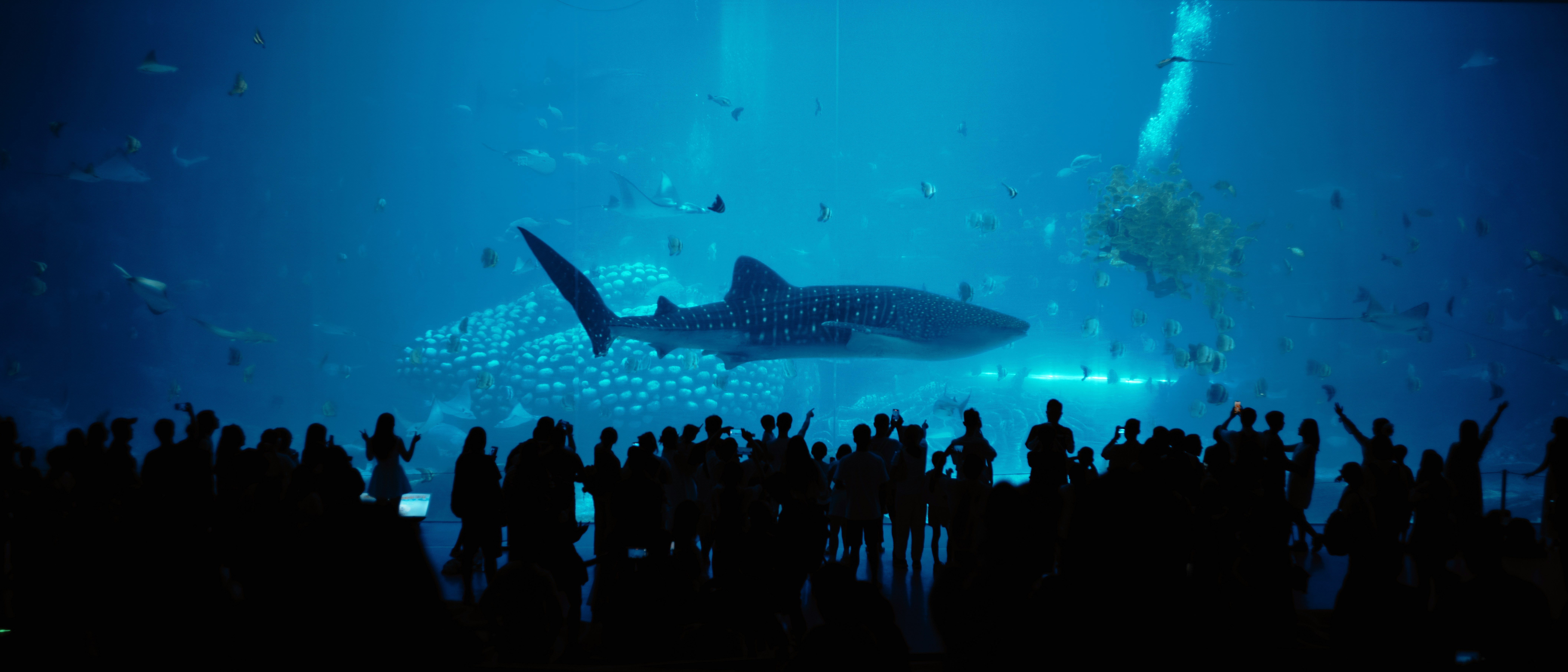 Photo by blackbird_ii