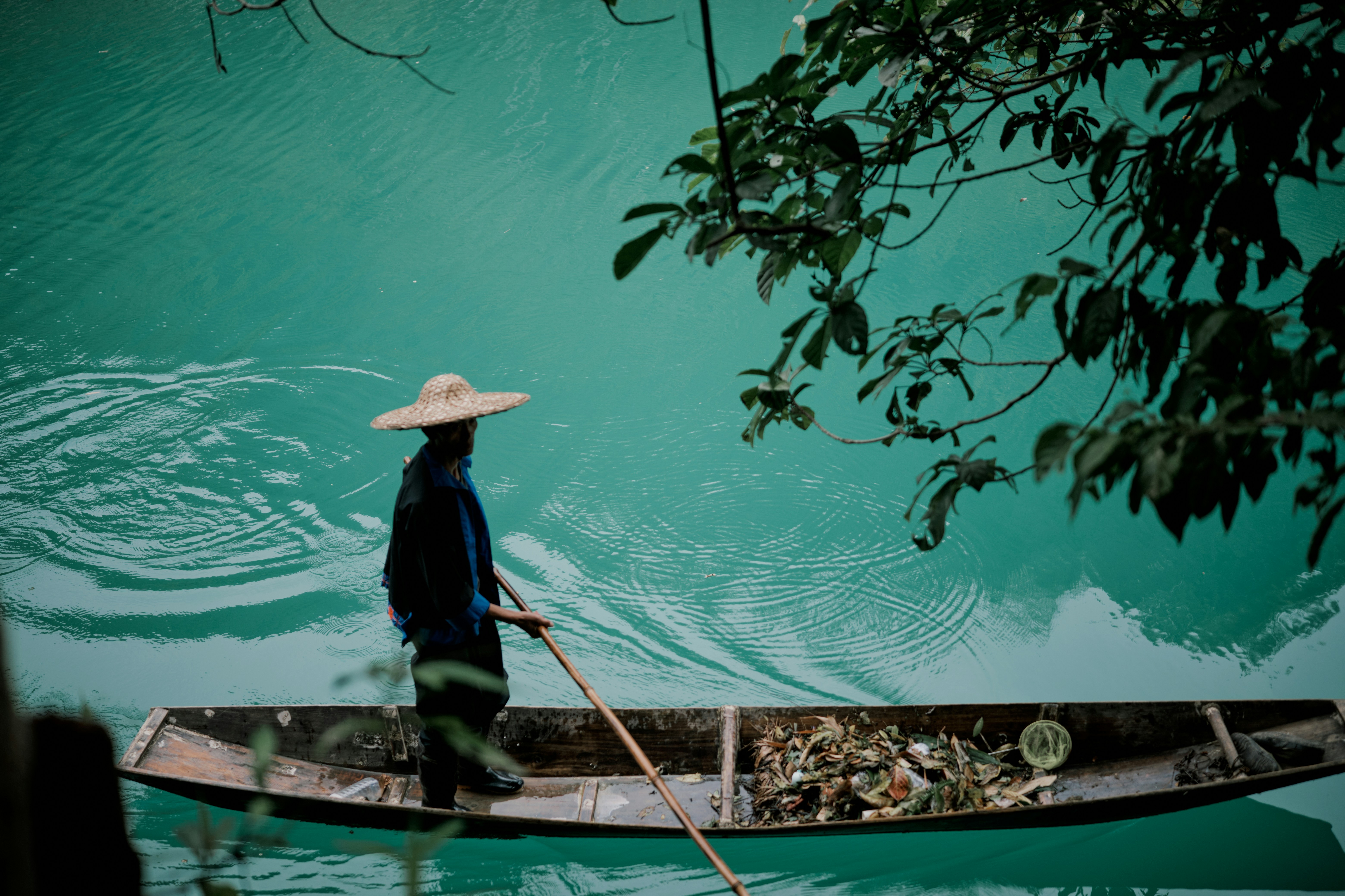 Photo by blackbird_ii