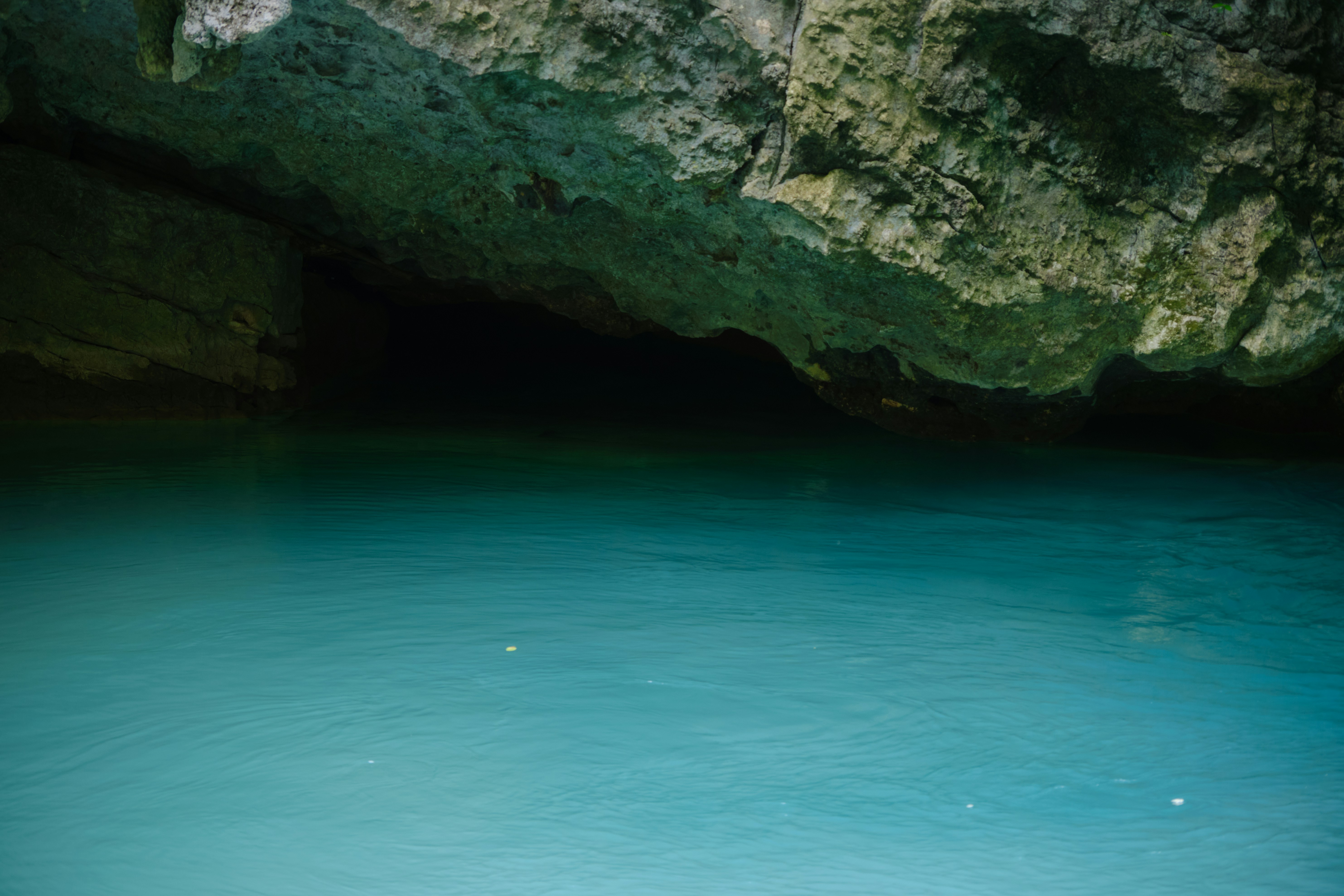 Photo by blackbird_ii