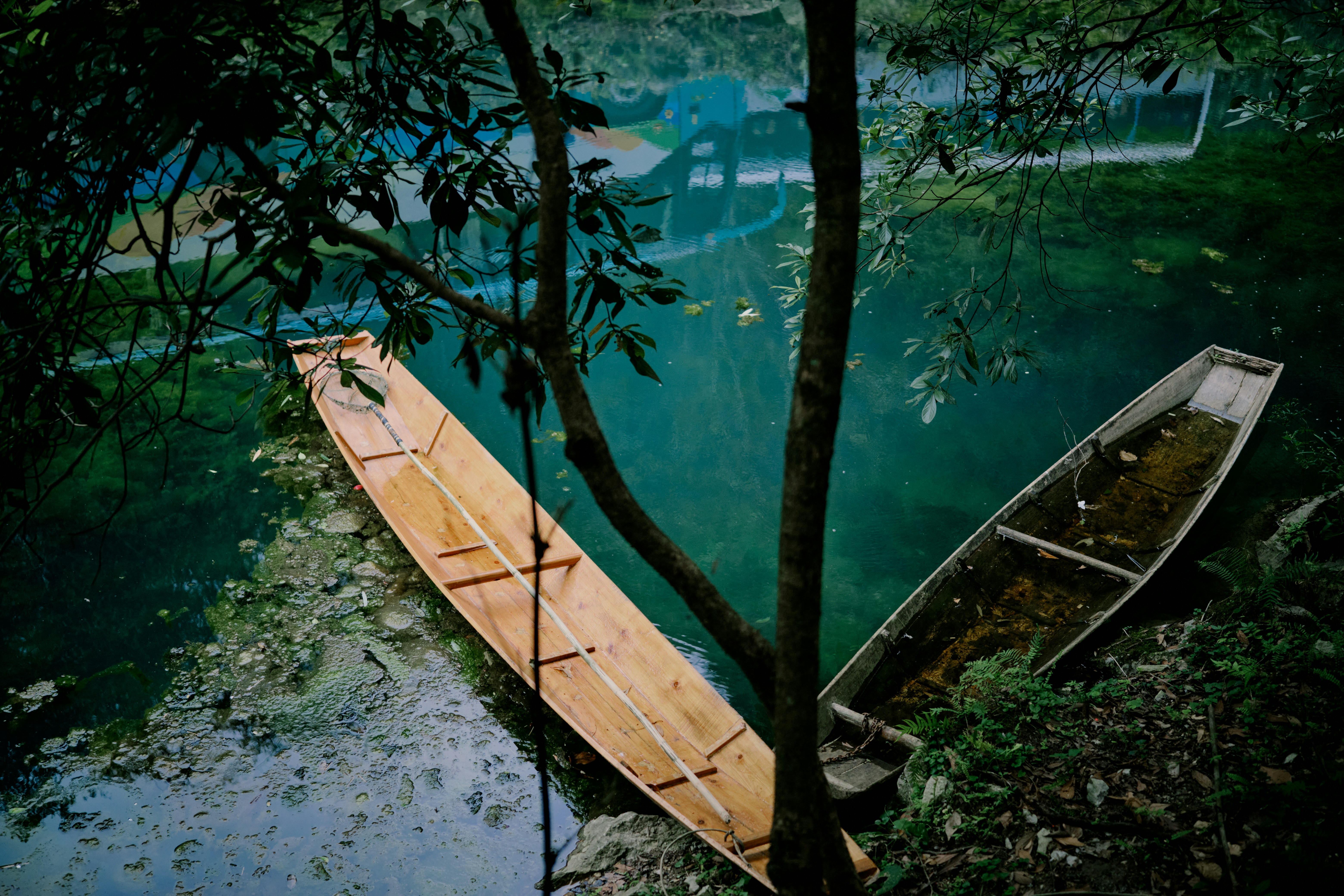 Dos barcos de madera descansan sobre un lago verde y tranquilo.